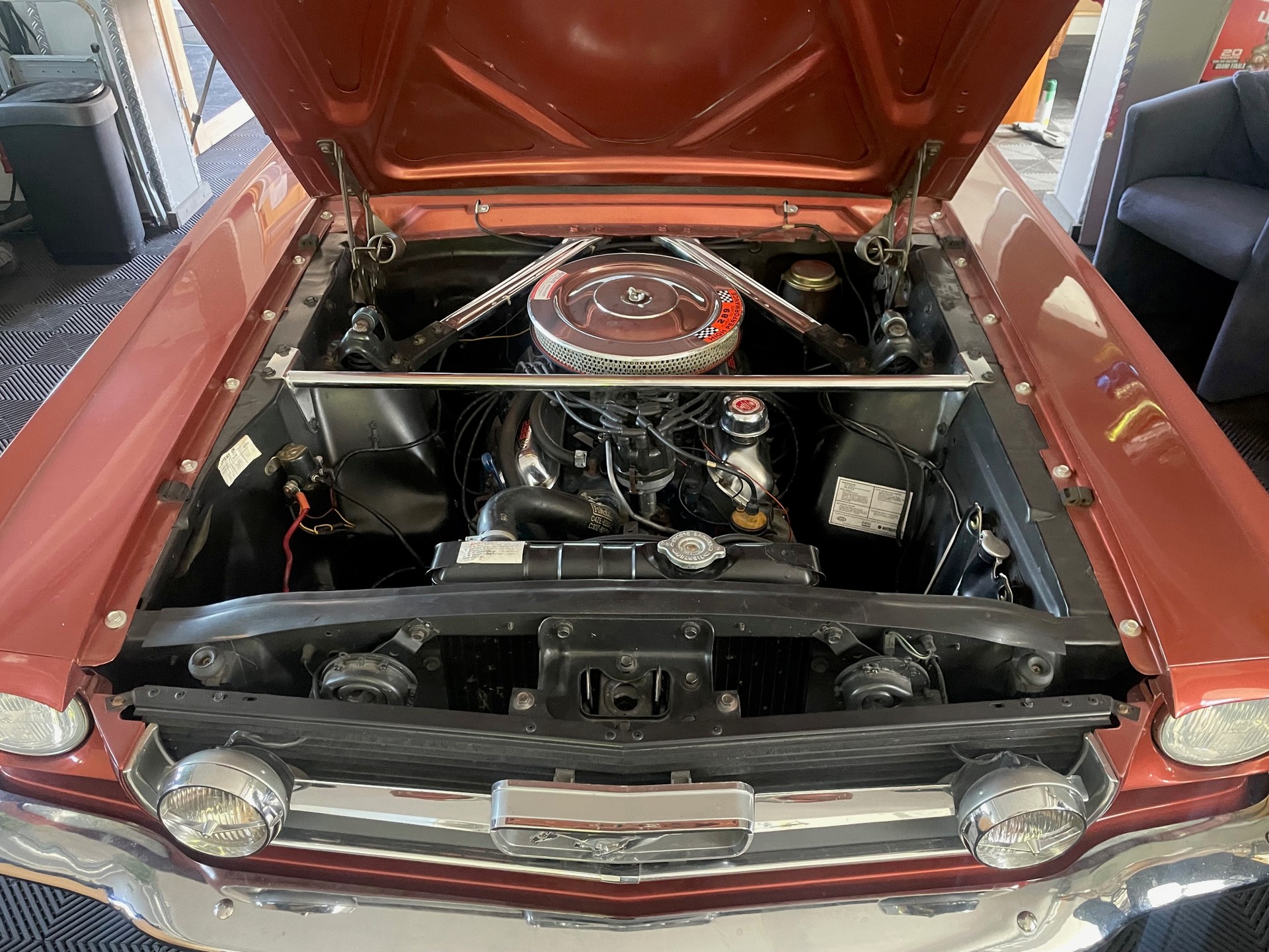FORD MUSTANG V8 K Code 289cui GT Coupe-image-2