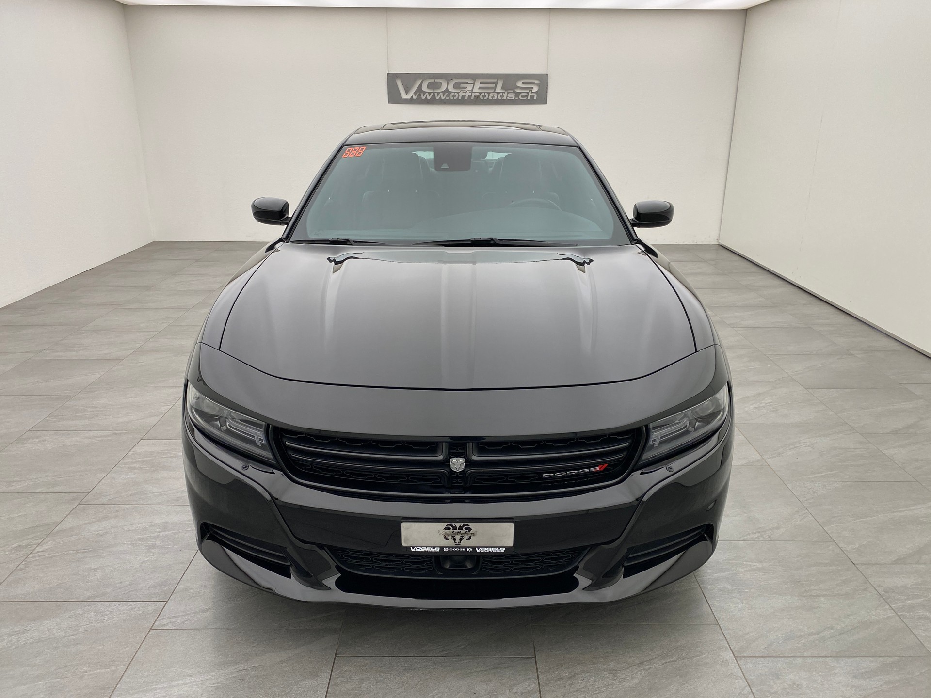 DODGE Charger 3.6 Rallye-image-1