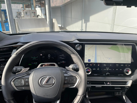 LEXUS RX 450h+ Excellnece AWD-image-9