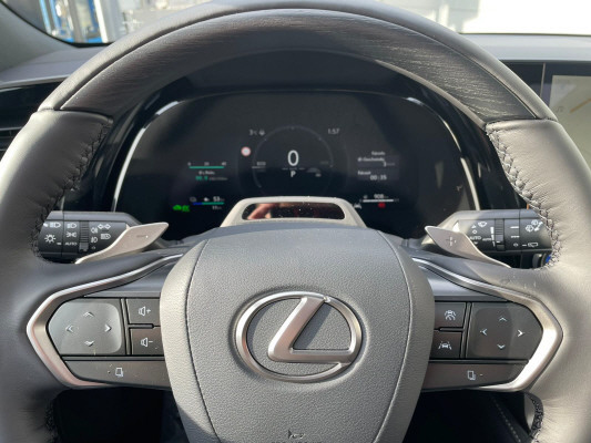 LEXUS RX 450h+ Excellnece AWD-image-10