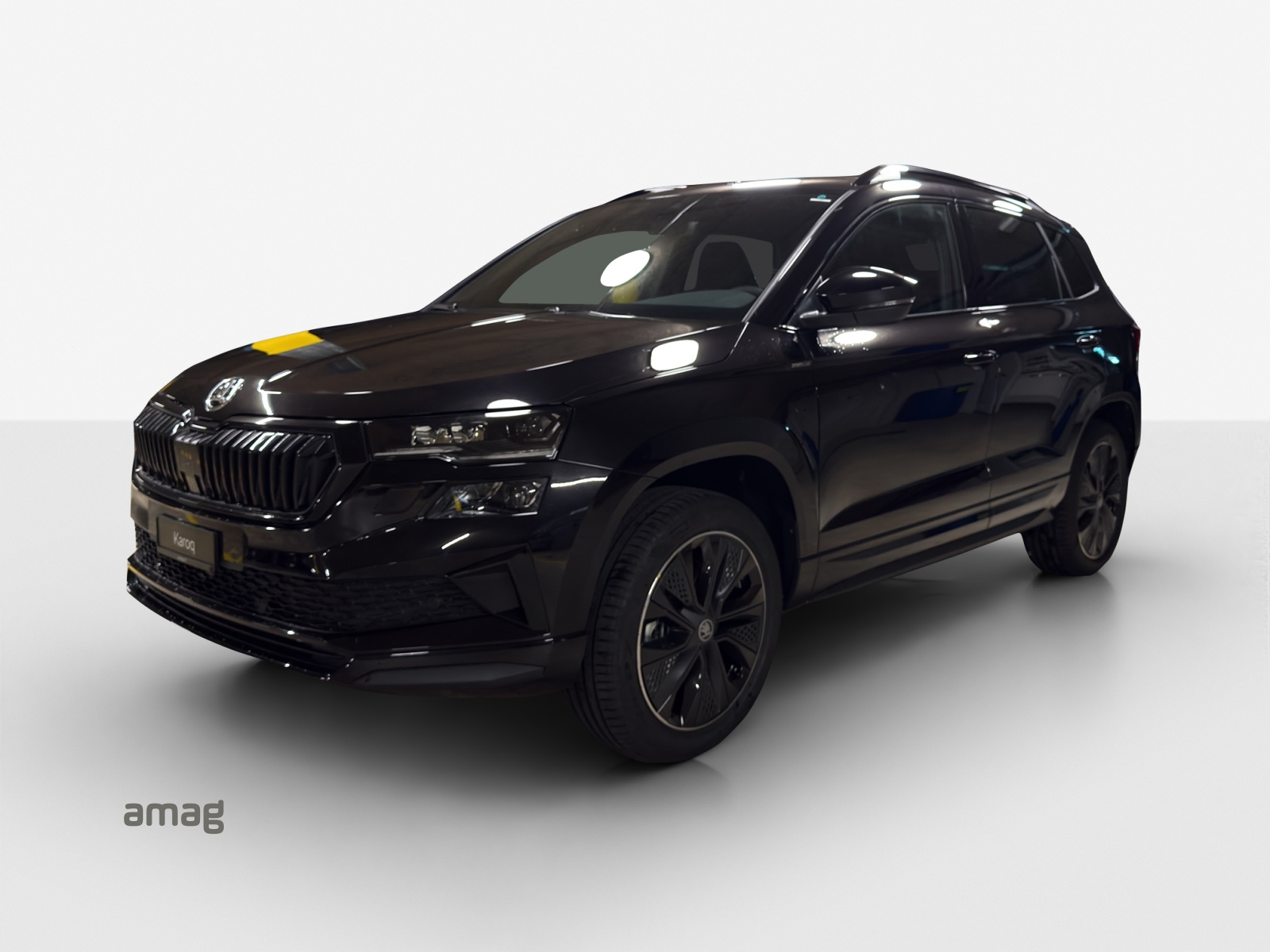 SKODA Karoq 2.0 TSI Dynamic Limited Edition 4x4 DSG-image-0