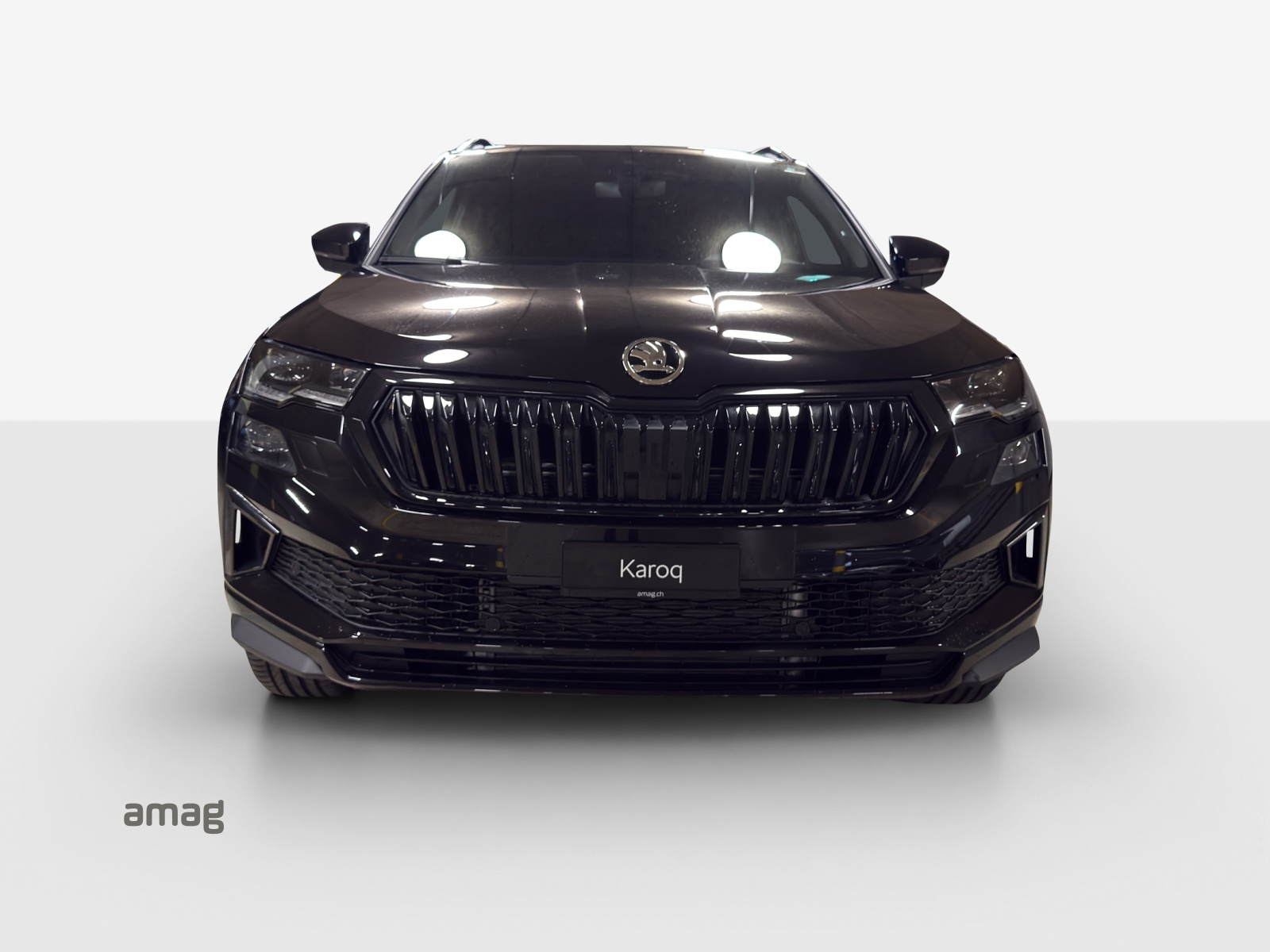 SKODA Karoq 2.0 TSI Dynamic Limited Edition 4x4 DSG-image-6