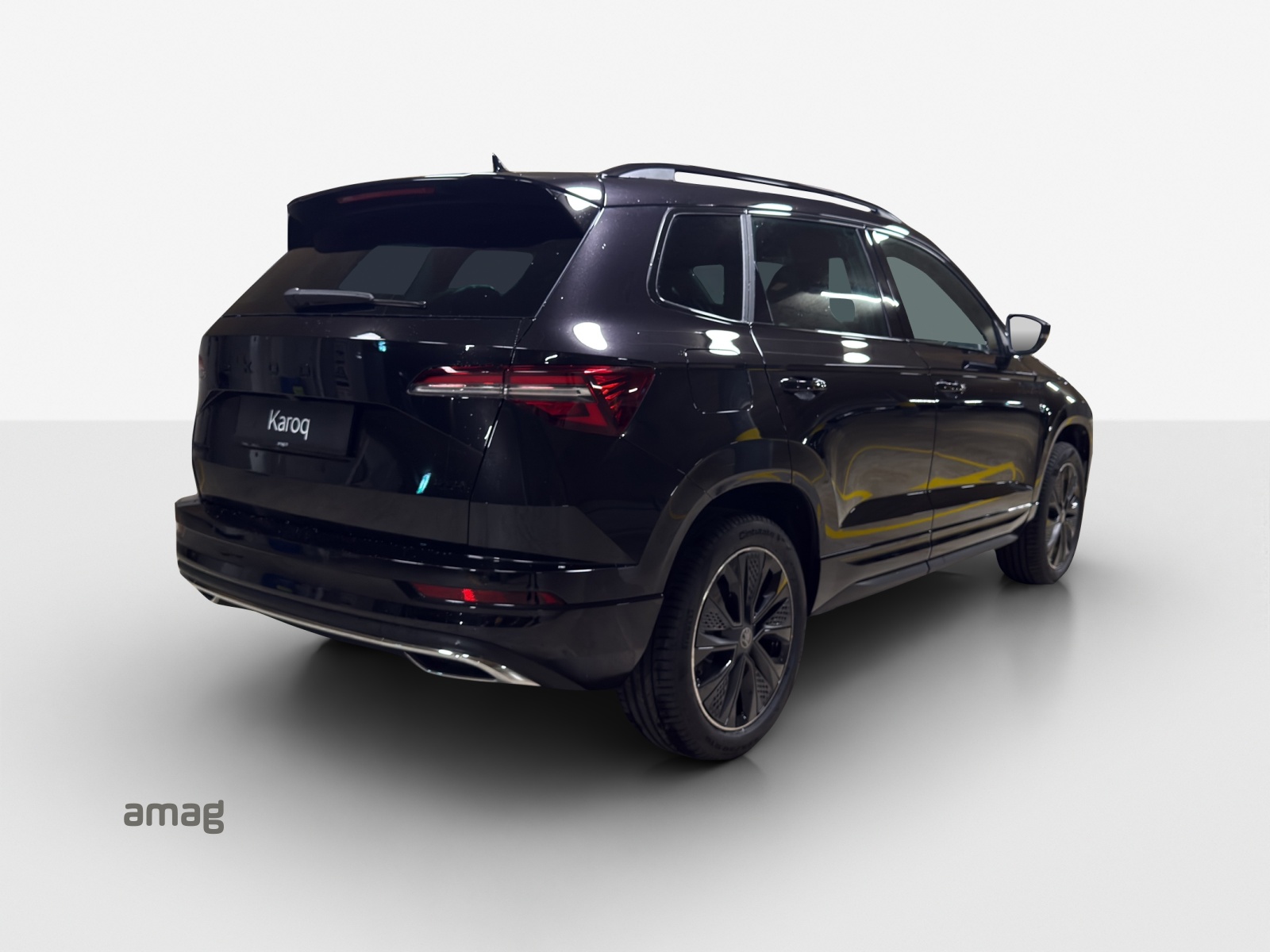 SKODA Karoq 2.0 TSI Dynamic Limited Edition 4x4 DSG-image-4