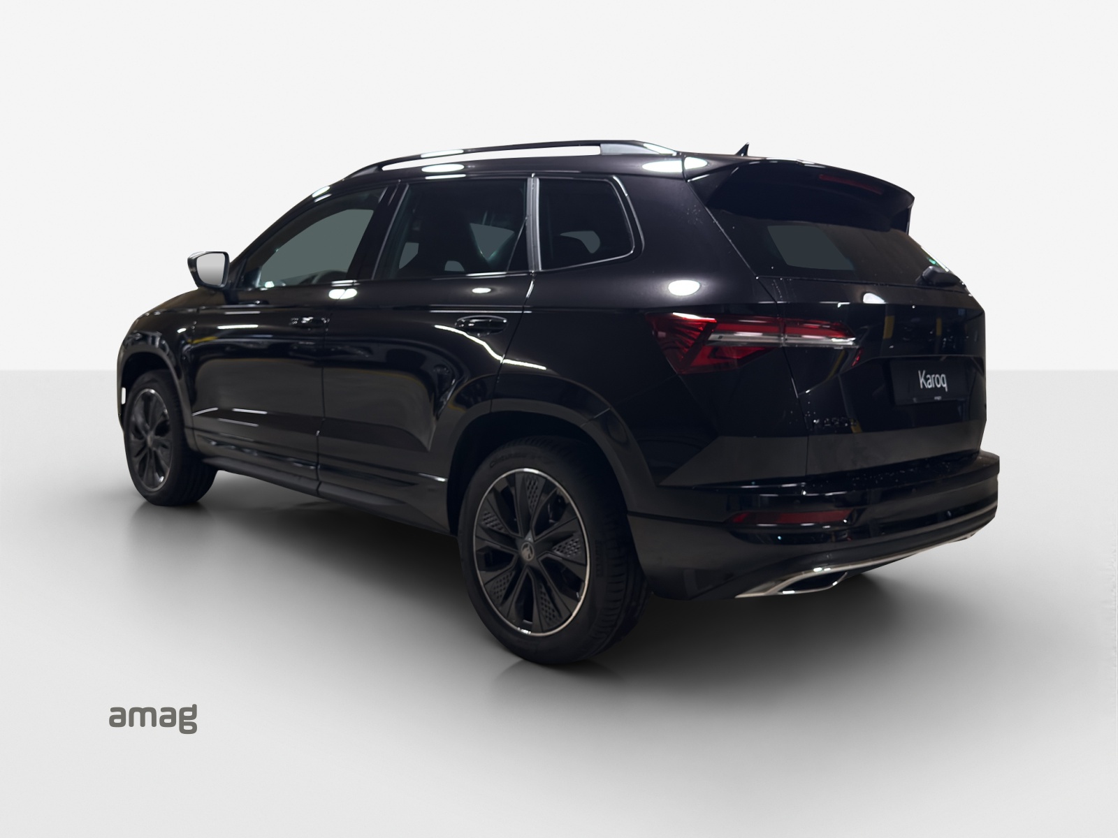 SKODA Karoq 2.0 TSI Dynamic Limited Edition 4x4 DSG-image-2