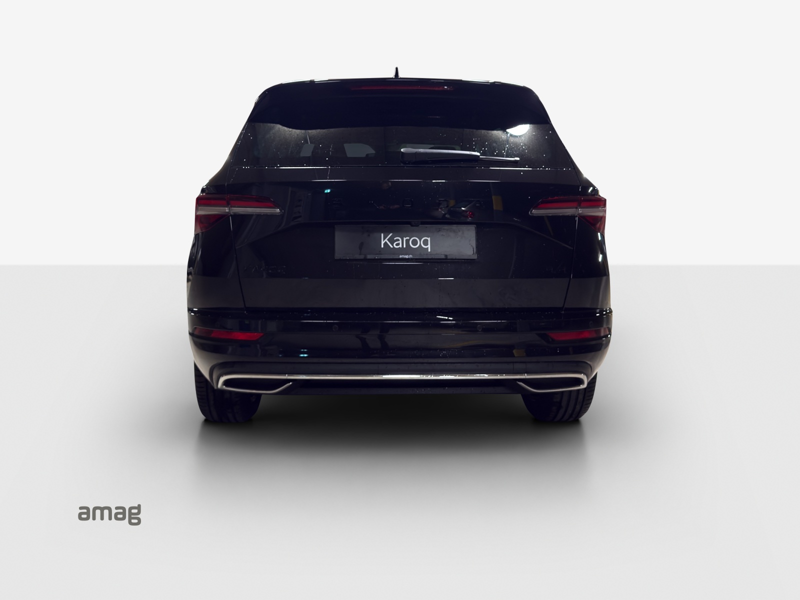 SKODA Karoq 2.0 TSI Dynamic Limited Edition 4x4 DSG-image-3