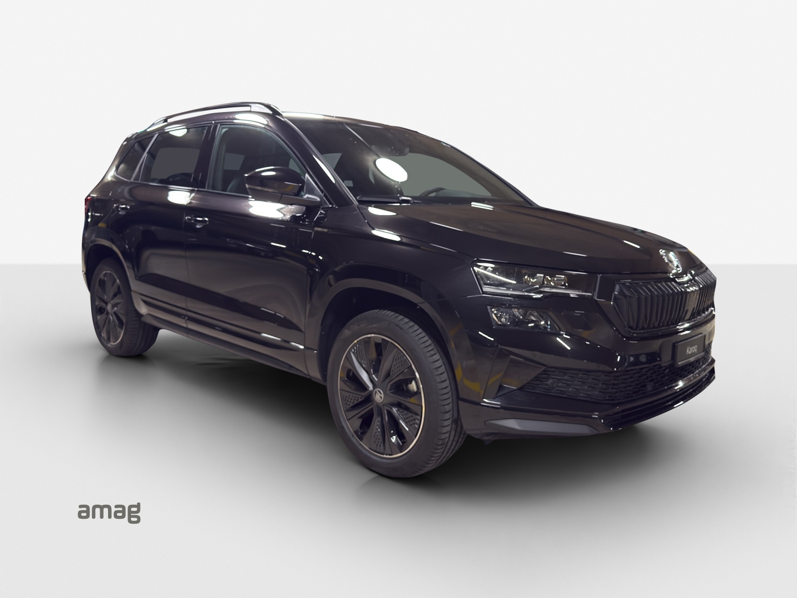 SKODA Karoq 2.0 TSI Dynamic Limited Edition 4x4 DSG-image-5