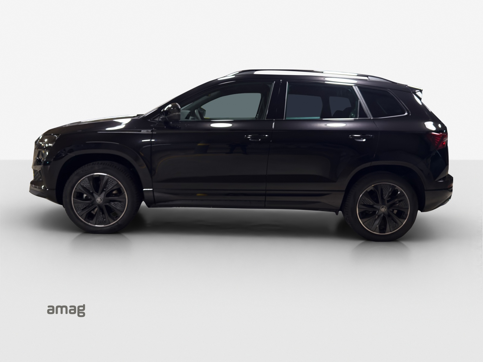 SKODA Karoq 2.0 TSI Dynamic Limited Edition 4x4 DSG-image-1