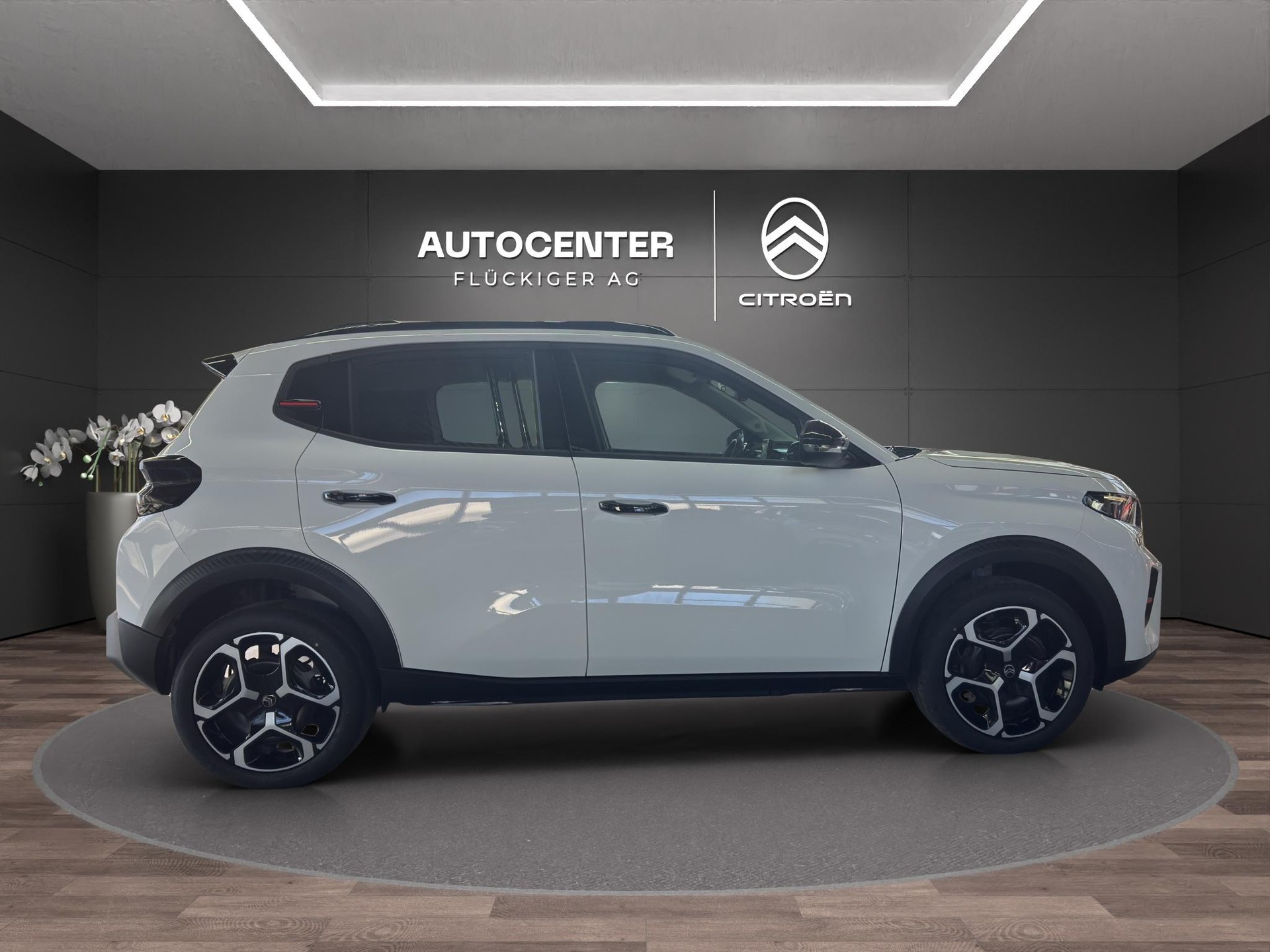 CITROEN e-C3 Van Electric-image-3