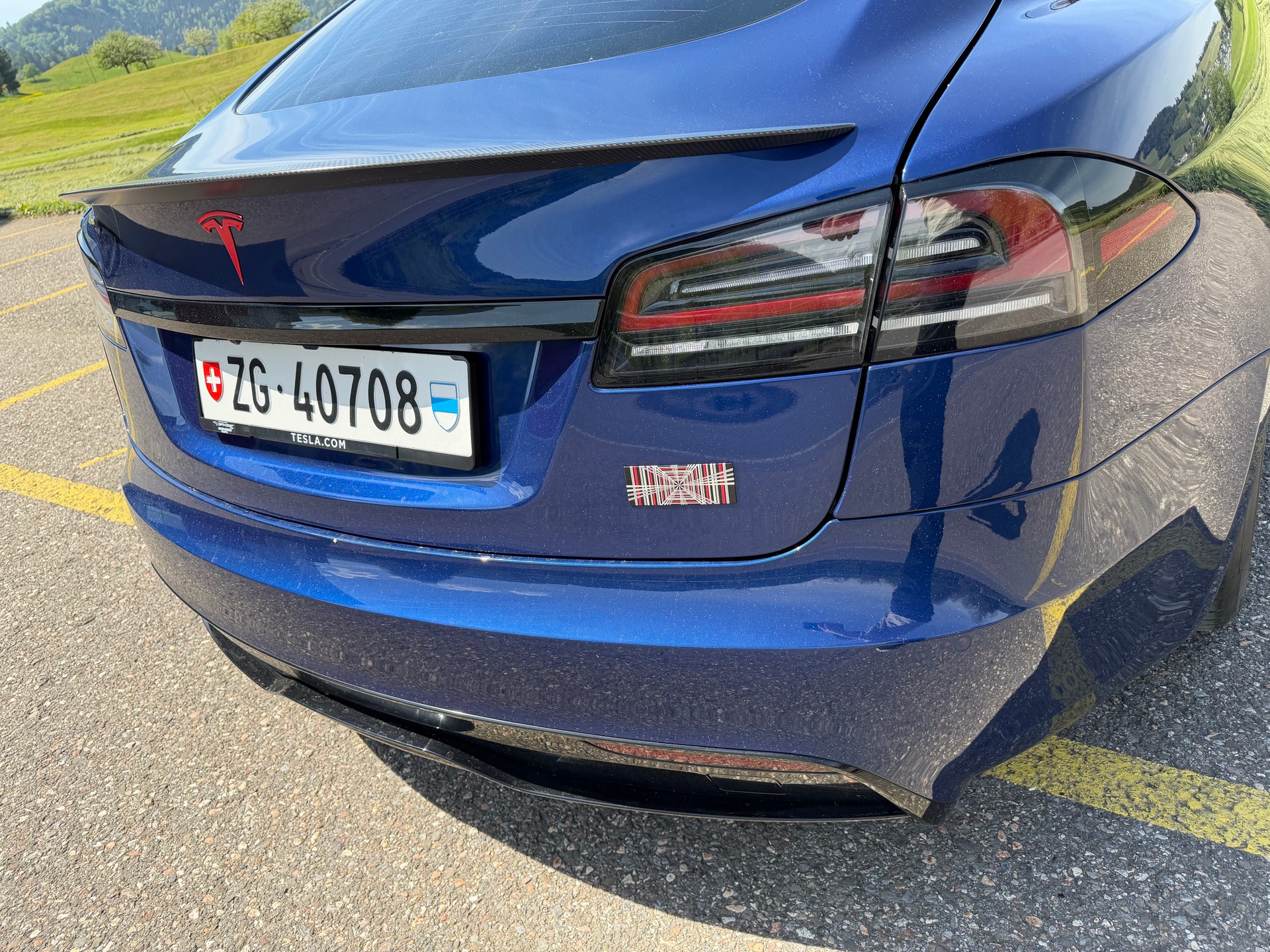 TESLA Model S 100 kWh Plaid-image-3