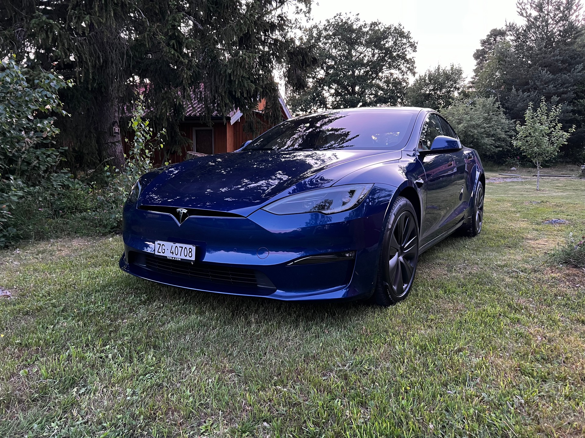 TESLA Model S 100 kWh Plaid-image-6