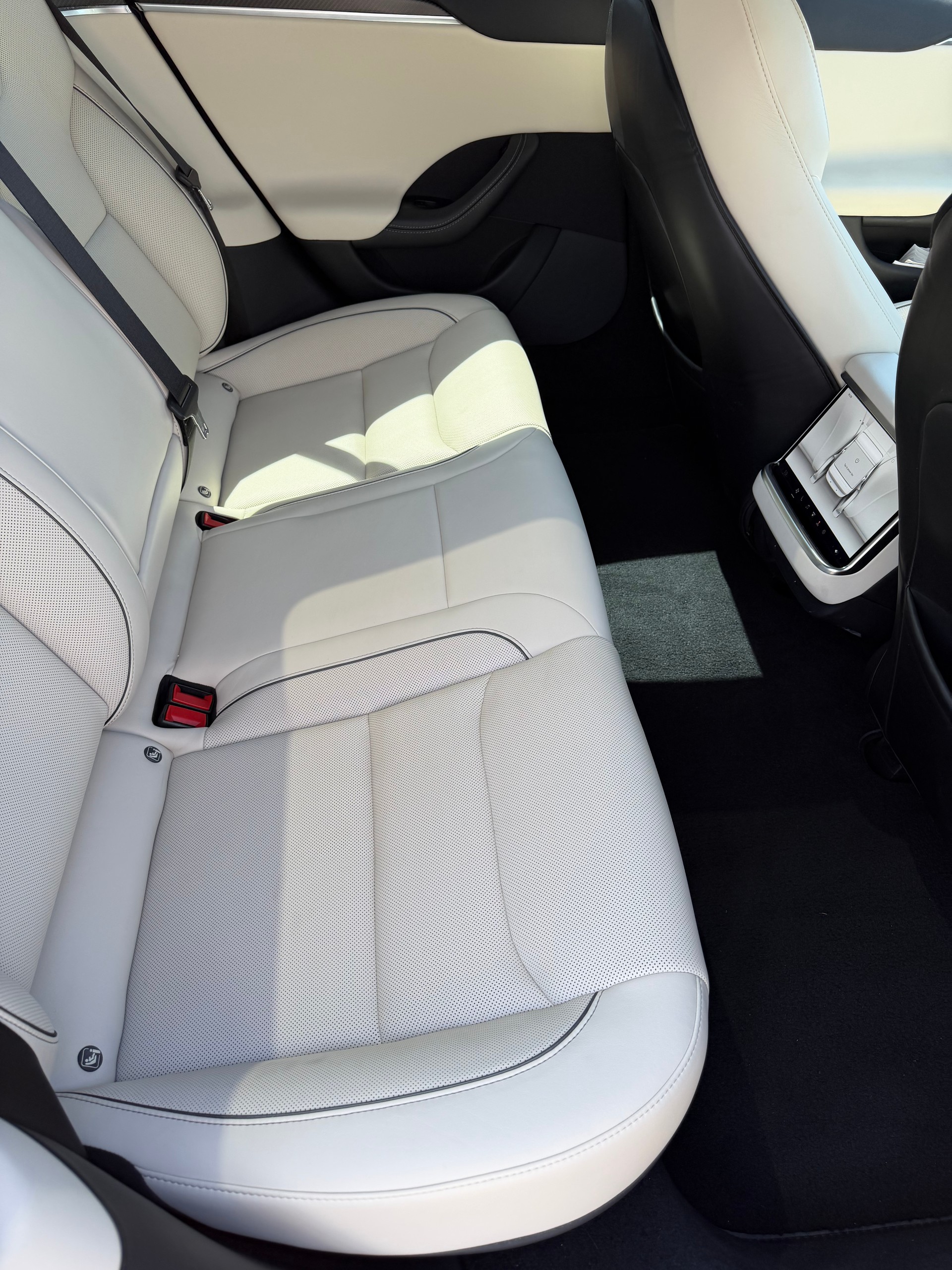 TESLA Model S 100 kWh Plaid-image-9