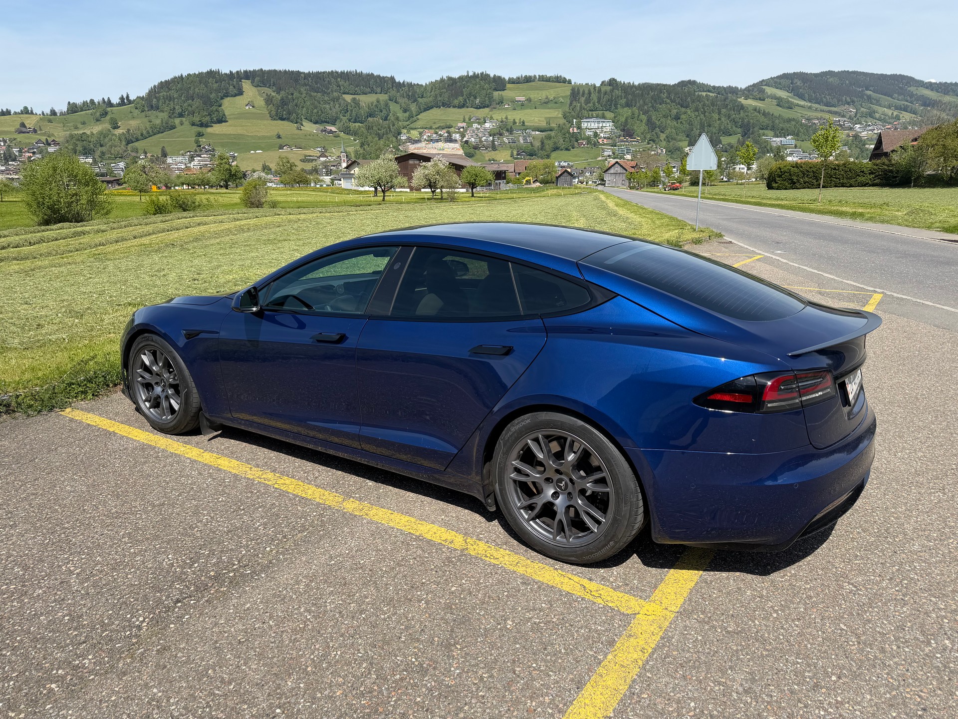 TESLA Model S 100 kWh Plaid-image-4