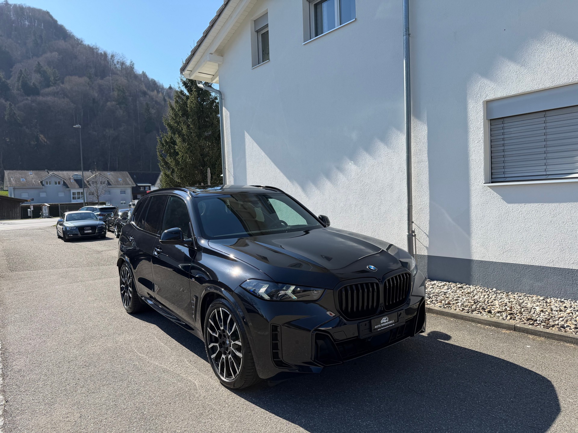 BMW X5 xDrive 48V 30d M Sport Pro Steptronic-showroom-element-1