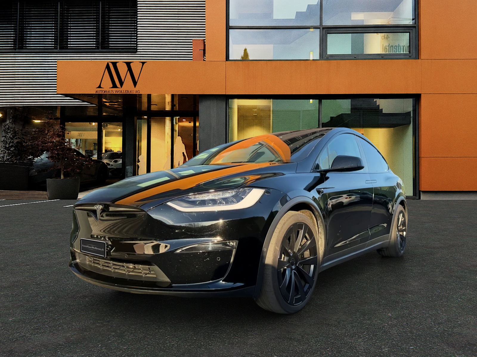 TESLA Model X Plaid-image-2