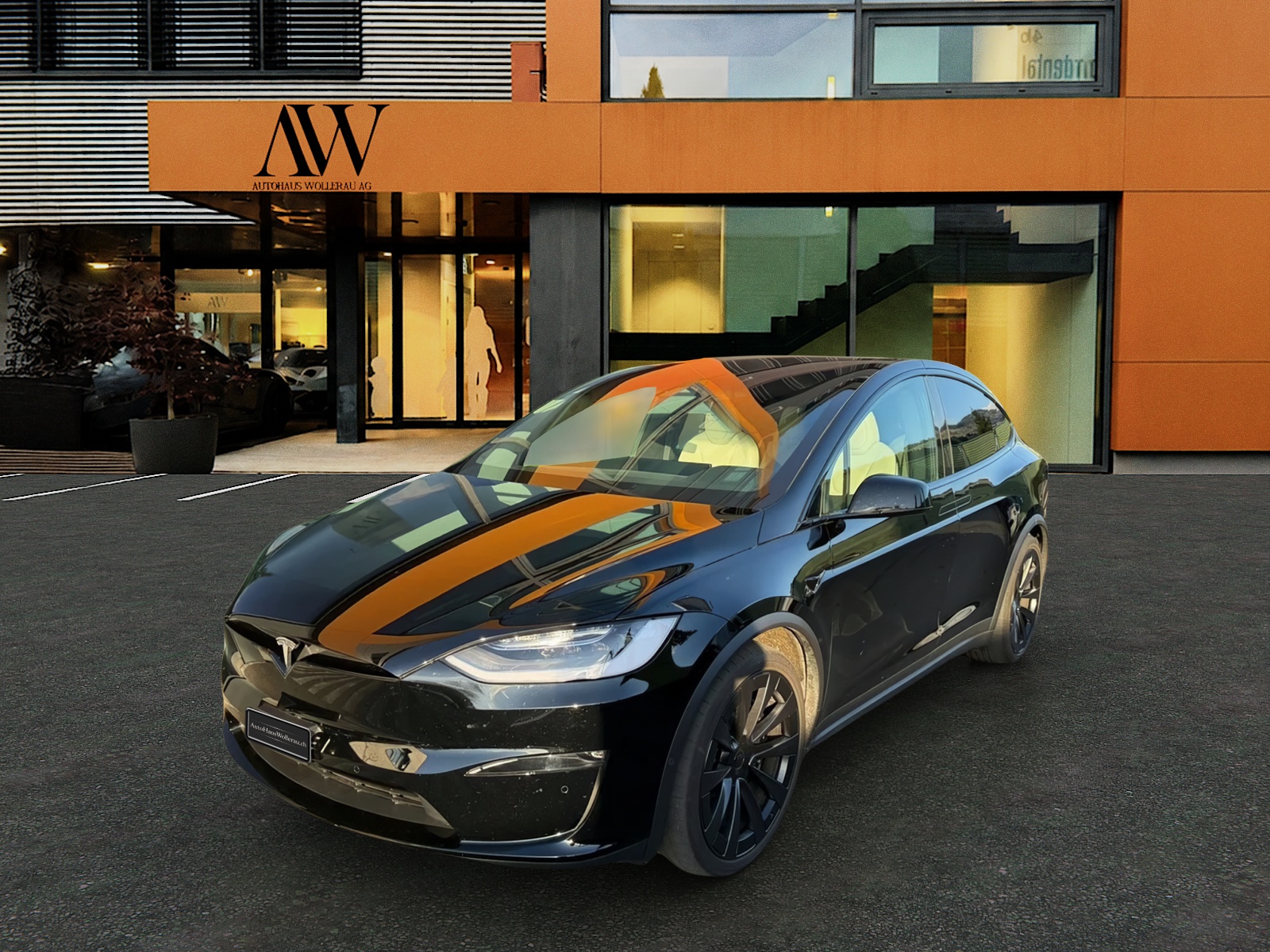 TESLA Model X Plaid-image-5
