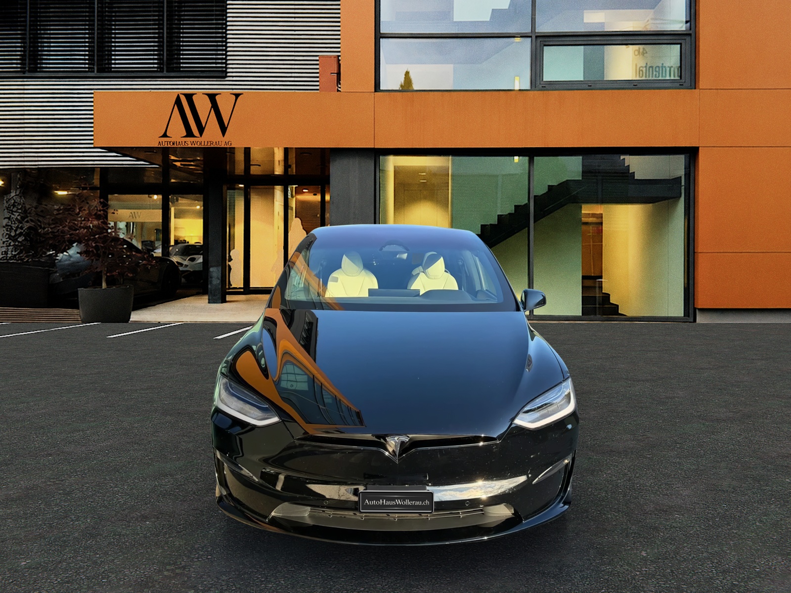 TESLA Model X Plaid-image-1