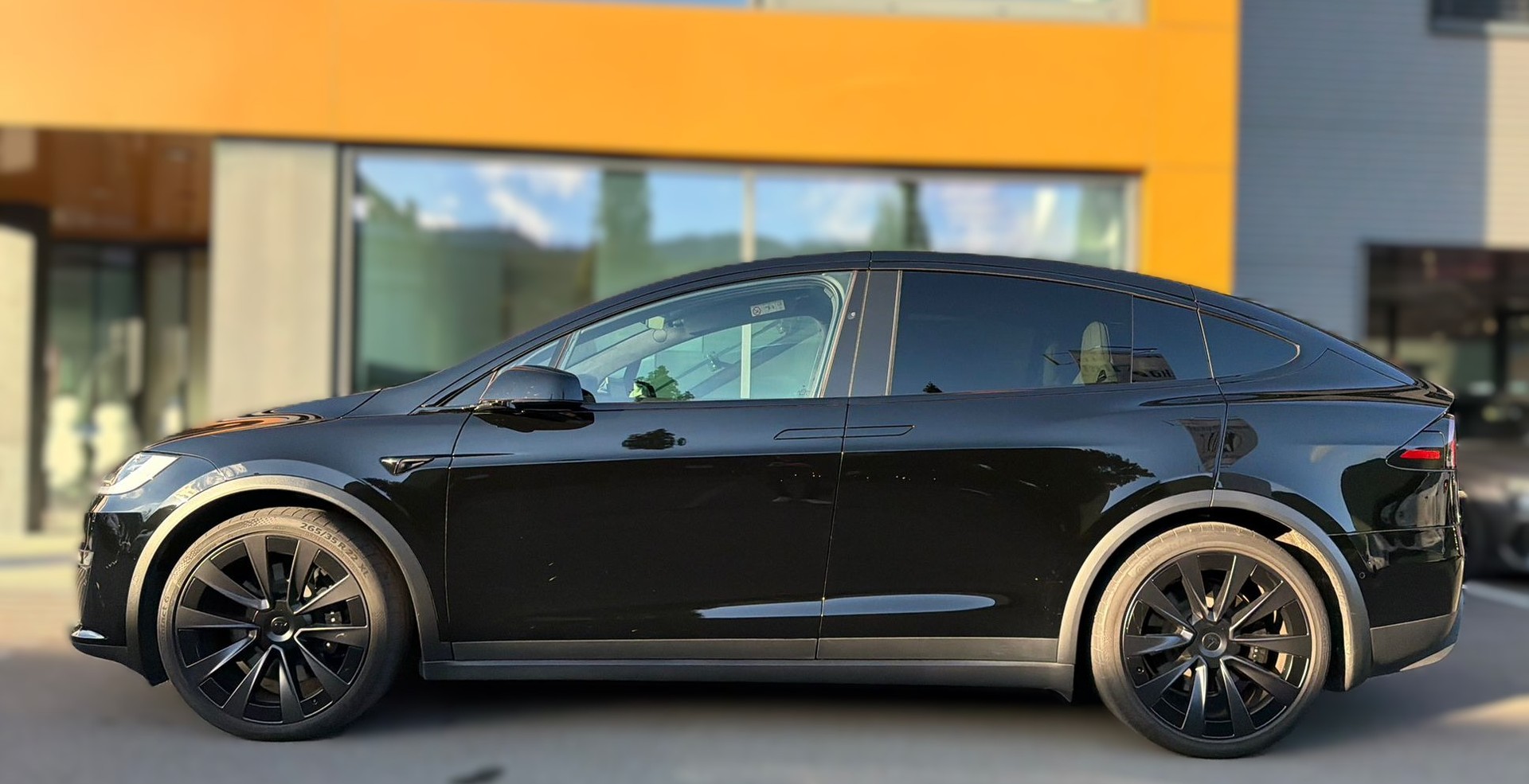 TESLA Model X Plaid-image-1