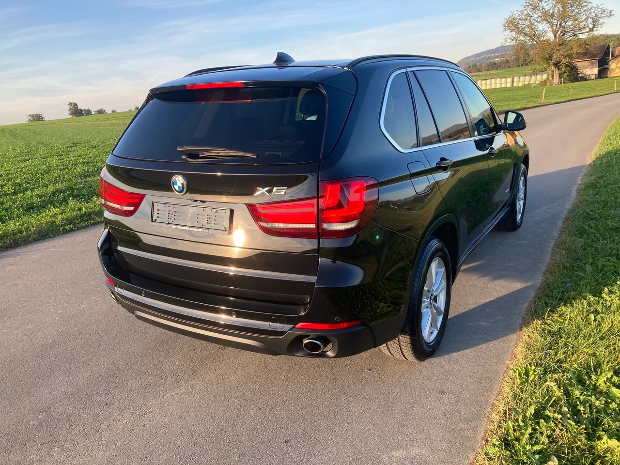 BMW X5 xDrive 25d Steptronic mit Anhängerkupplung-image-2
