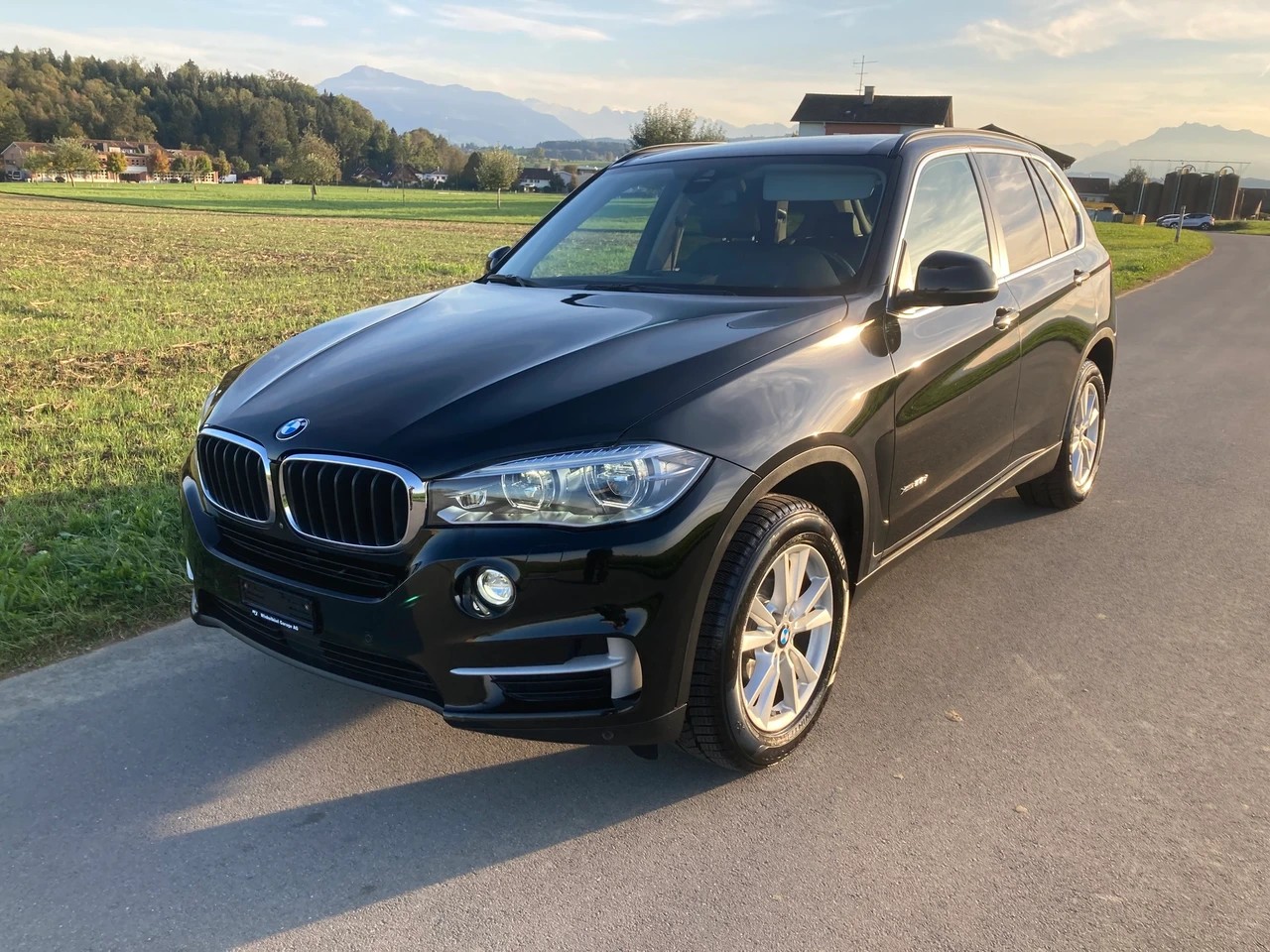 BMW X5 xDrive 25d Steptronic mit Anhängerkupplung-image-0