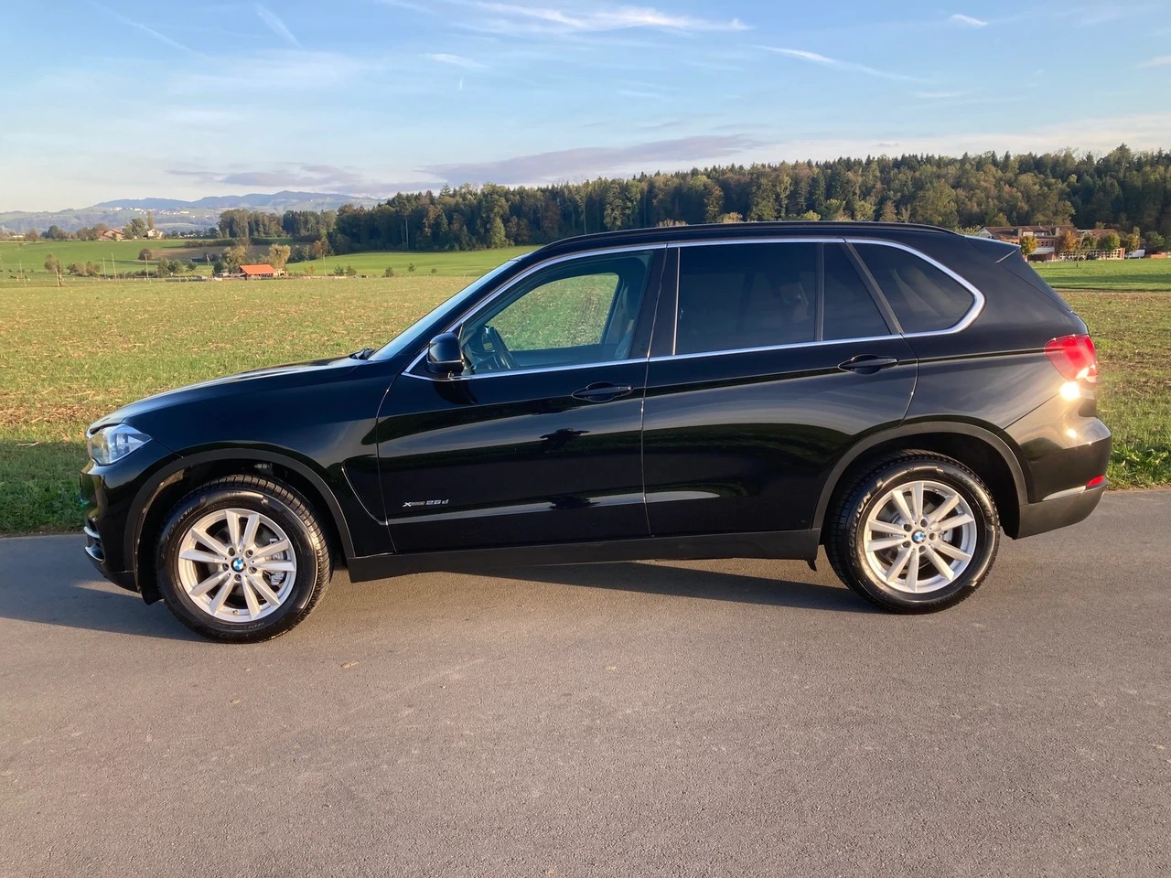 BMW X5 xDrive 25d Steptronic mit Anhängerkupplung-image-4
