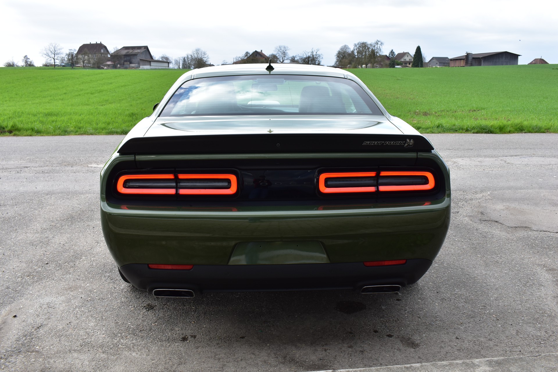 DODGE Challenger Swinger F8 Green-image-5