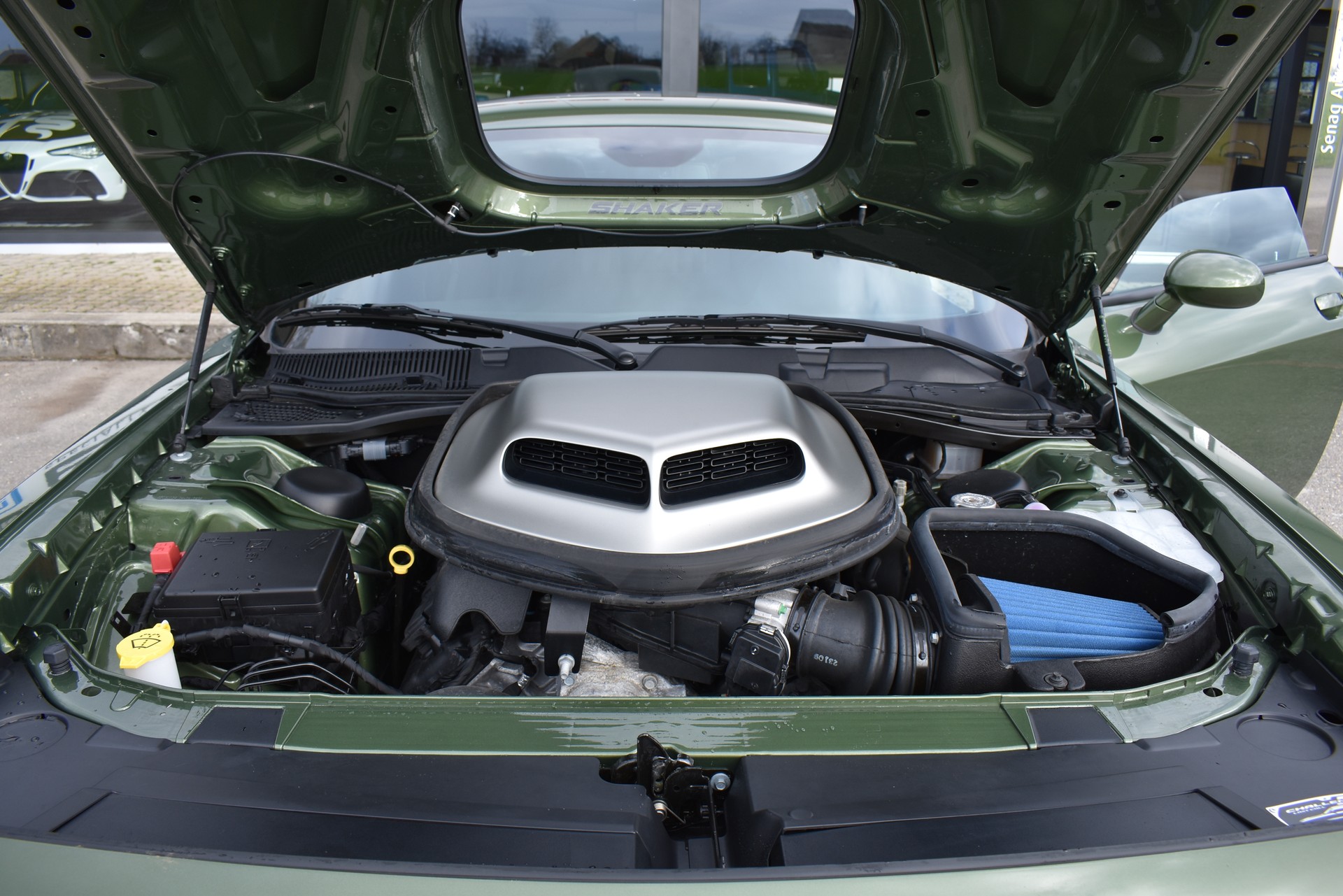 DODGE Challenger Swinger F8 Green-image-11