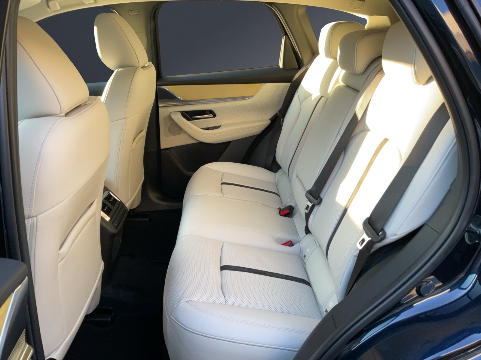 MAZDA CX-60 3.3L e-Skyactiv D 254 MHEV AWD Takumi-image-11