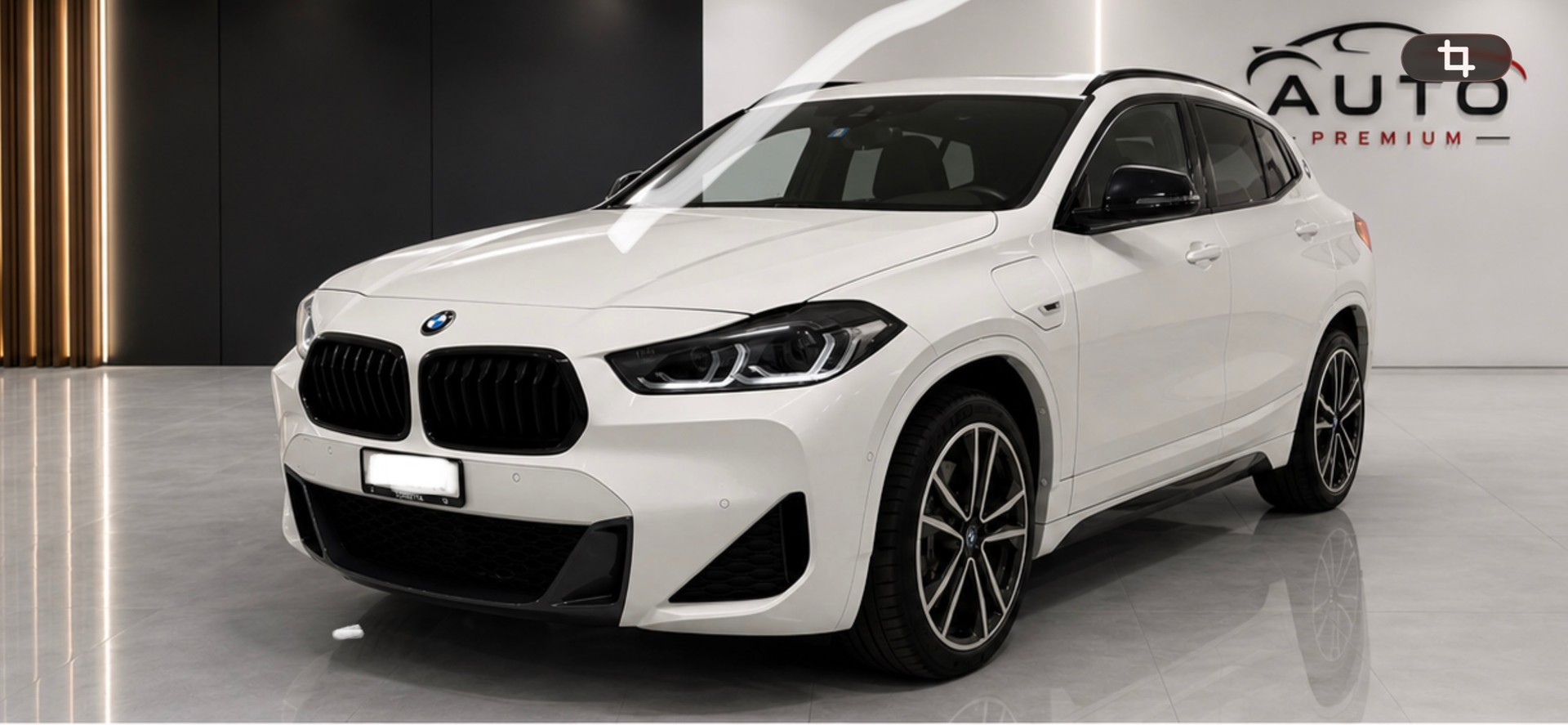 BMW X2 xDrive 25e M Sport-image-0