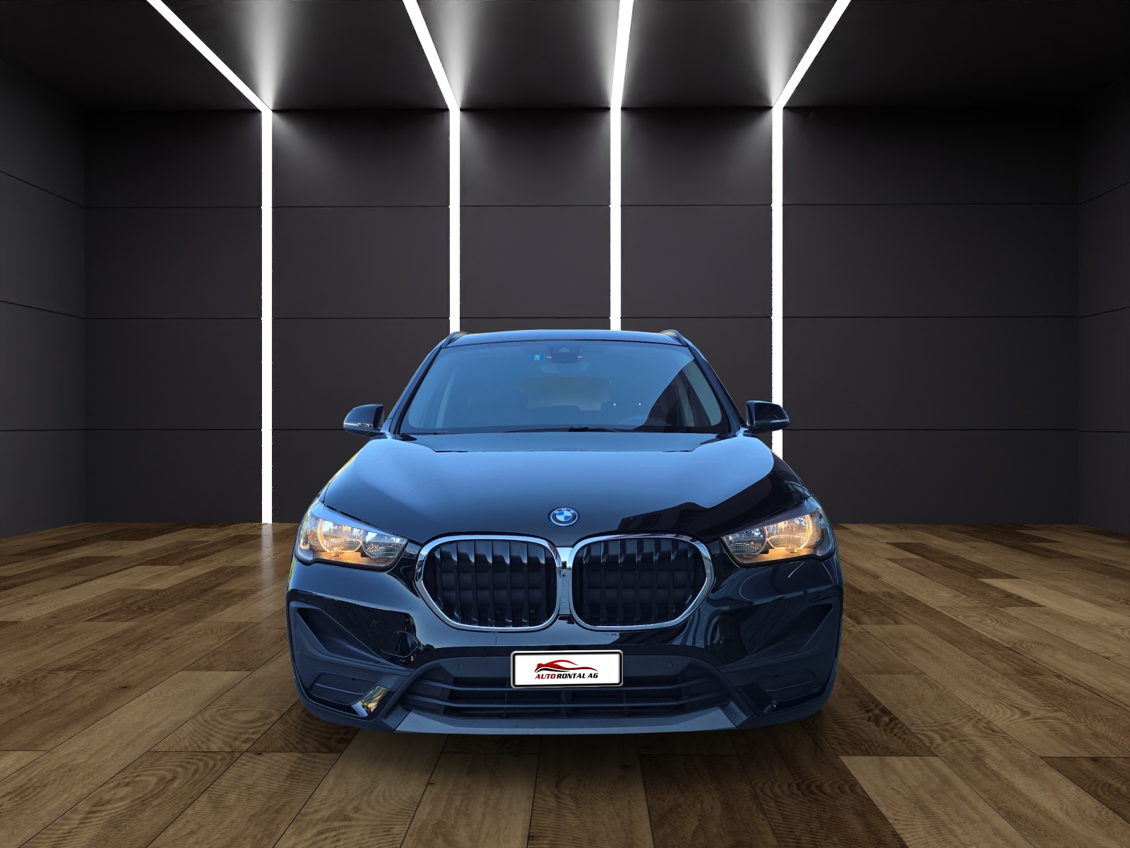 BMW X1 xDrive 25e Steptronic-image-2