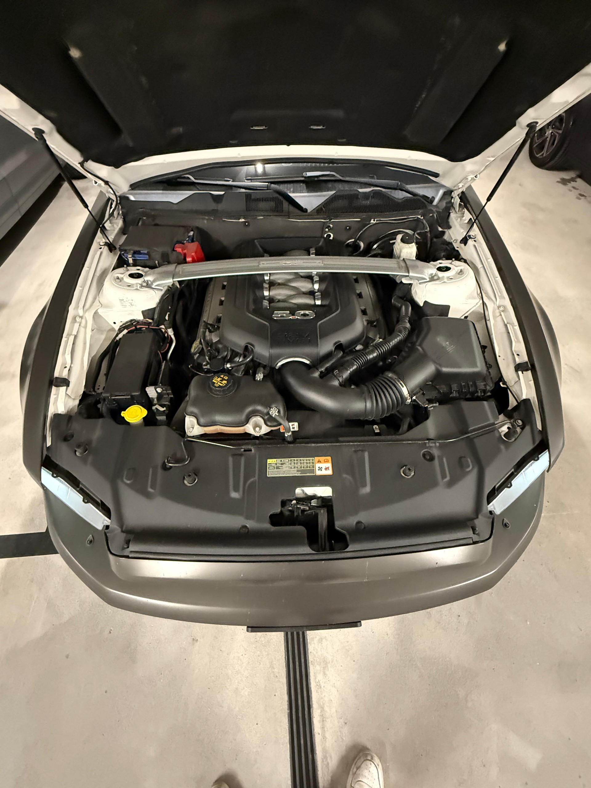 FORD MUSTANG GT 5.0 V8 426 PS-image-4
