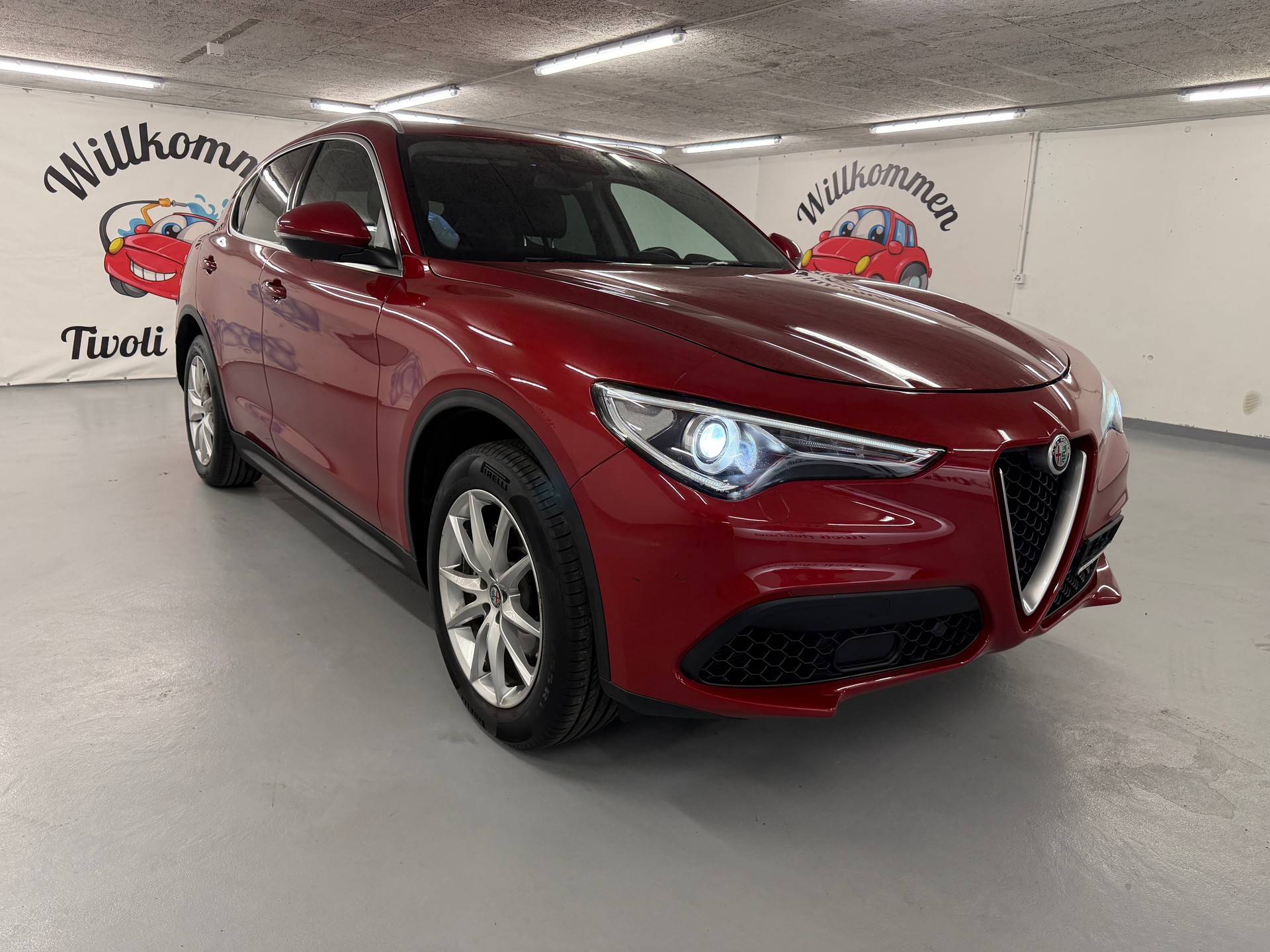 ALFA ROMEO Stelvio 2.0 Executive Q4 Automatic-showroom-element-1