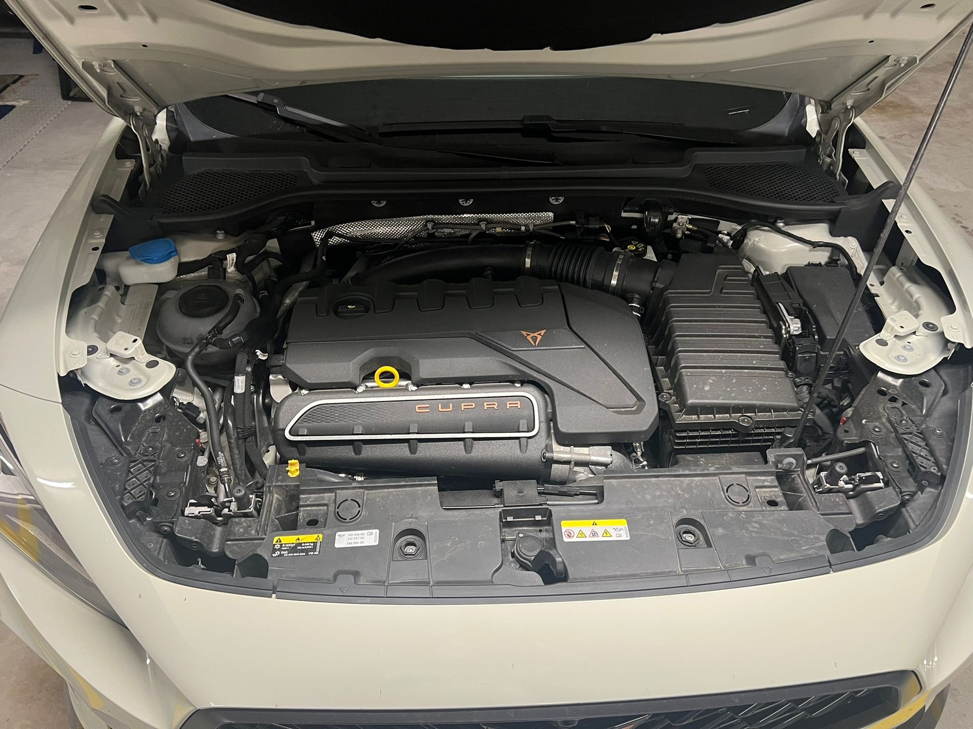 CUPRA 2.5 TSI VZ5 Taiga Grey 4Drive DSG-image-8
