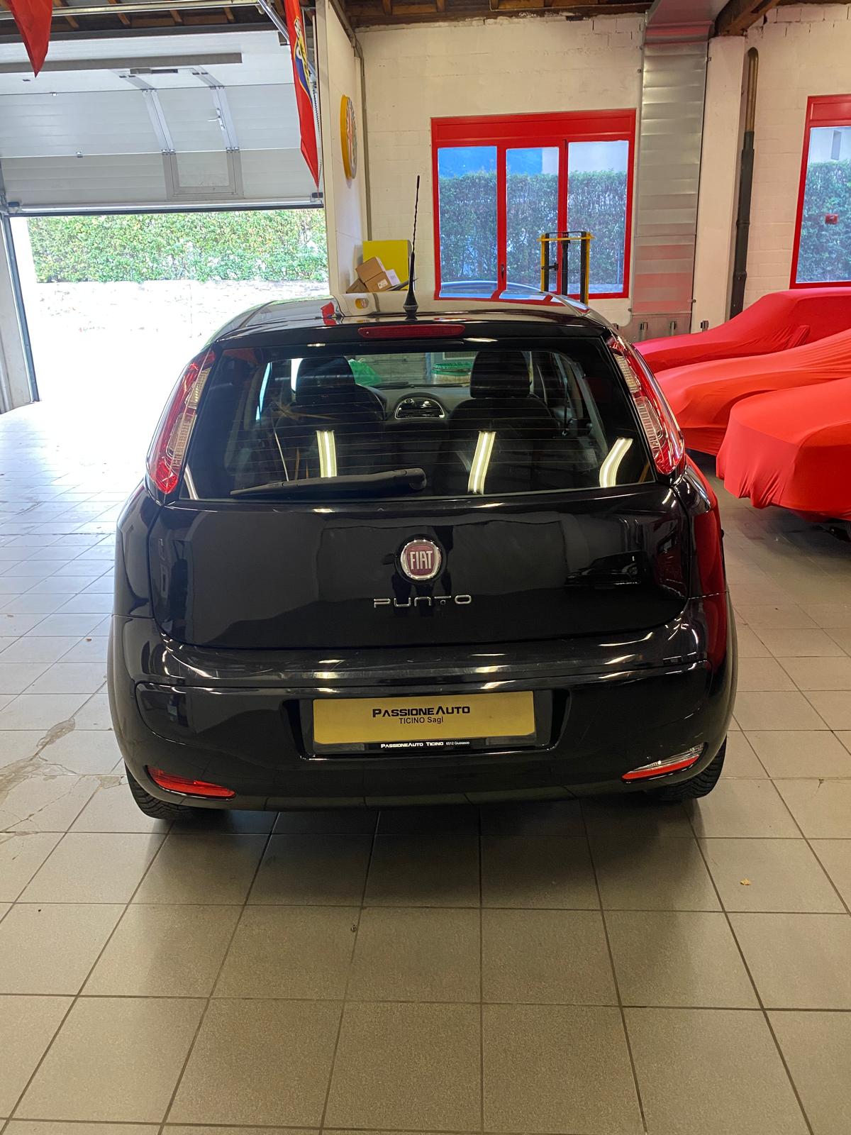 FIAT Punto Evo 1.4 MyLife-image-3
