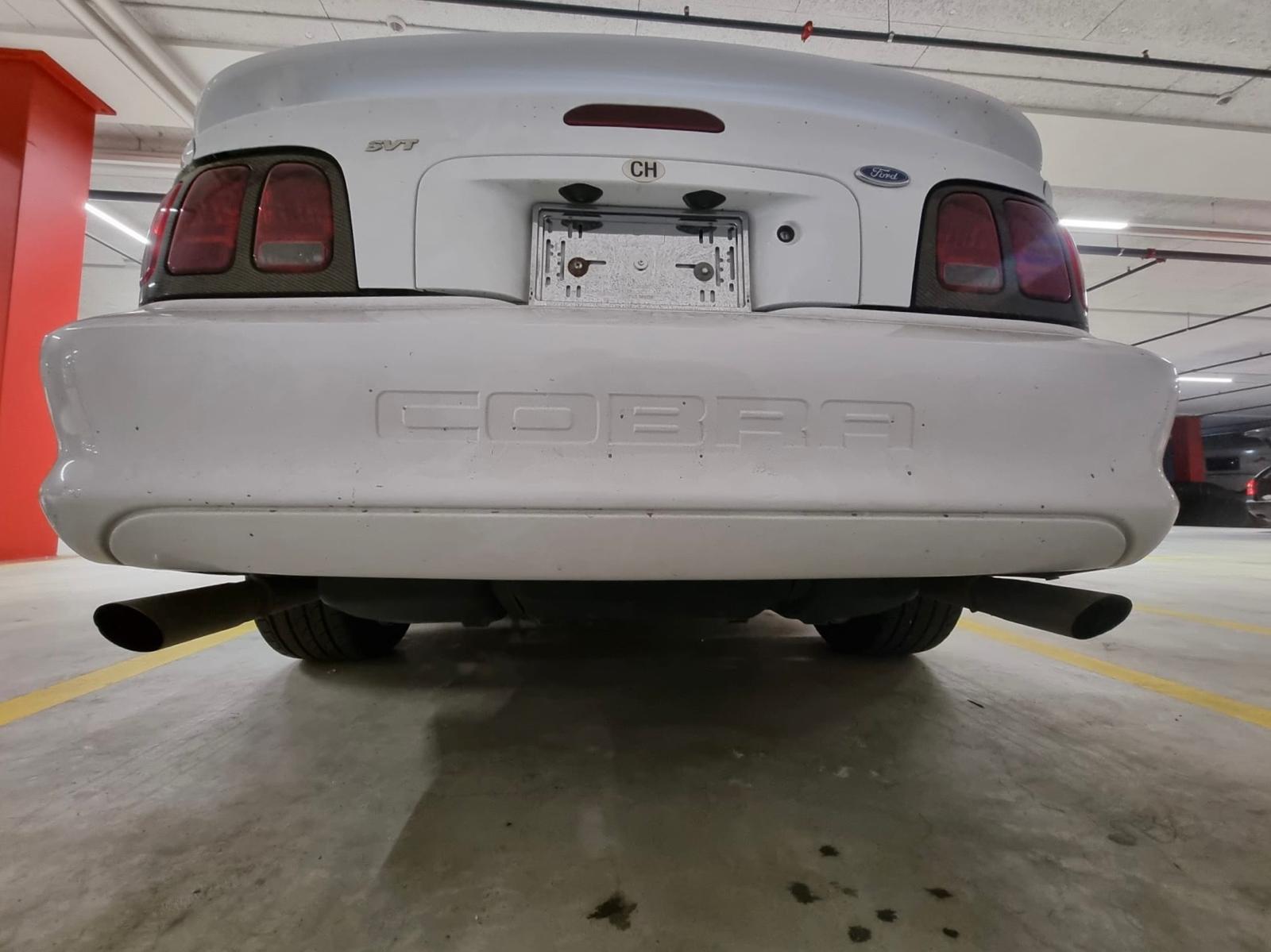 FORD MUSTANG Cobra SVT 4.6l V8 PVB-image-5