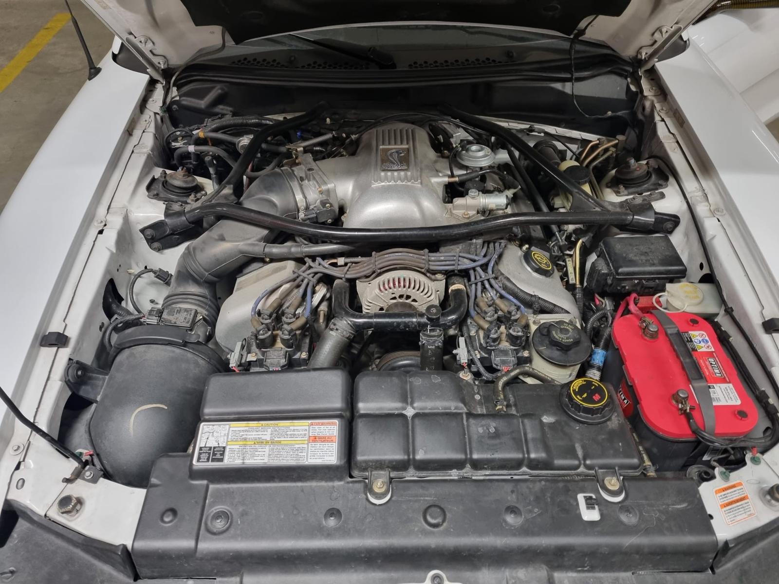 FORD MUSTANG Cobra SVT 4.6l V8 PVB-image-2
