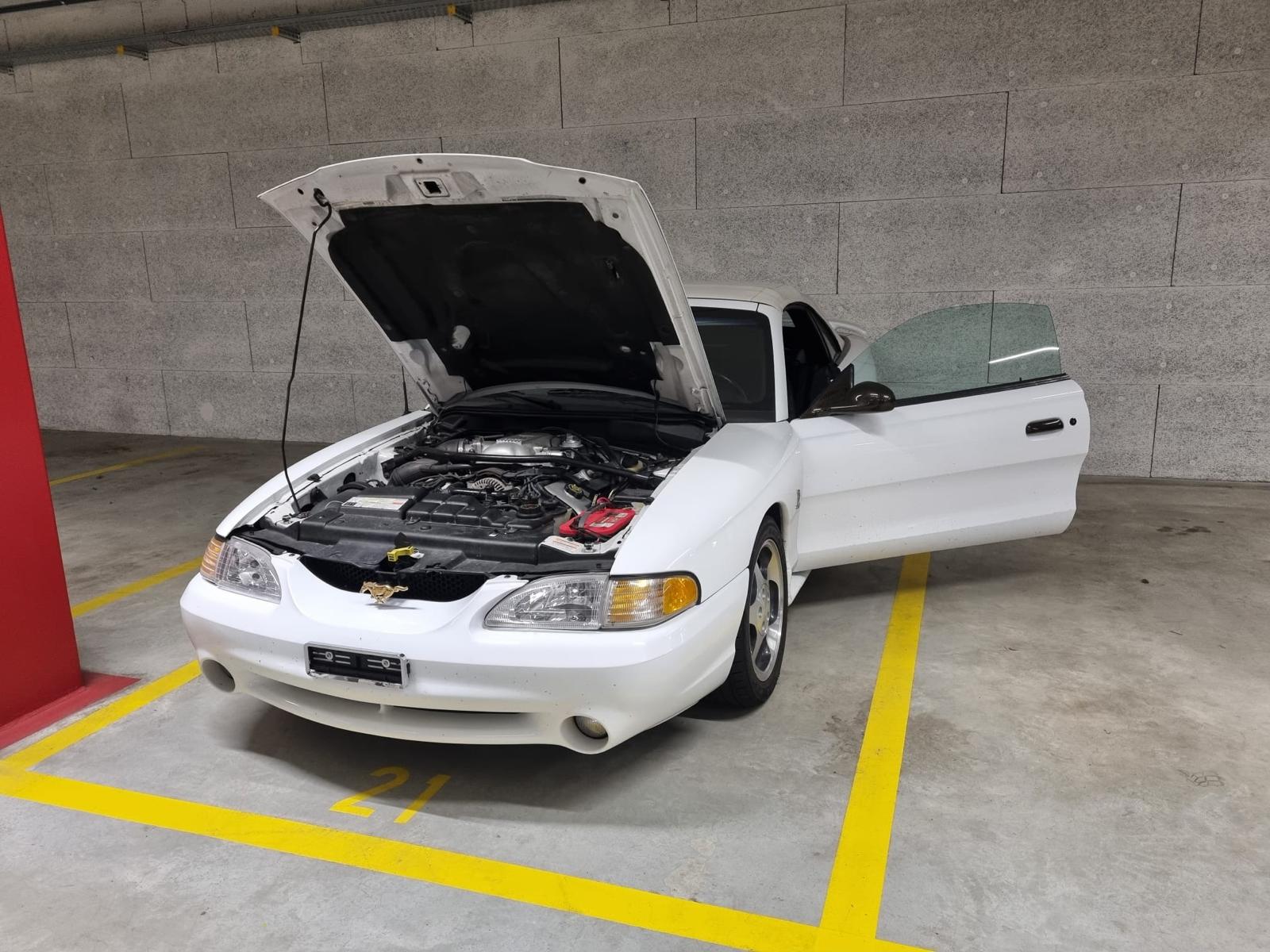 FORD MUSTANG Cobra SVT 4.6l V8 PVB-image-3