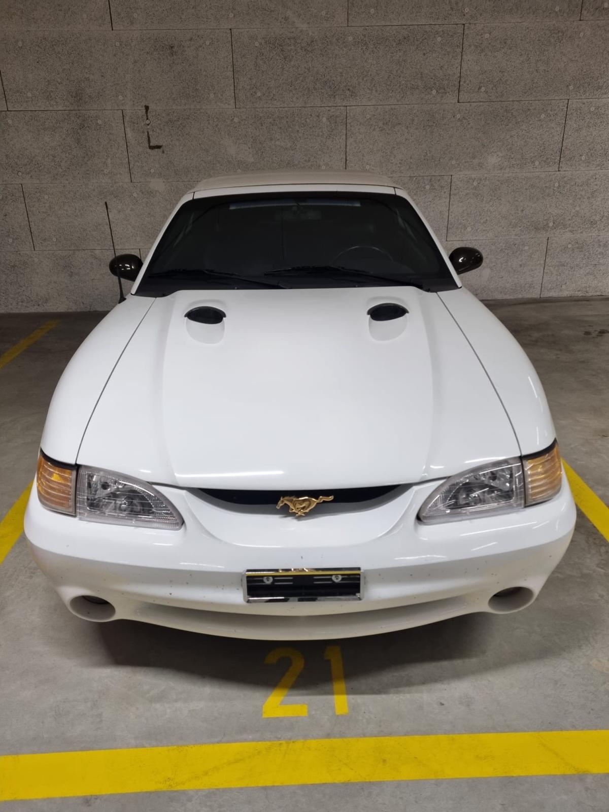 FORD MUSTANG Cobra SVT 4.6l V8 PVB-image-0