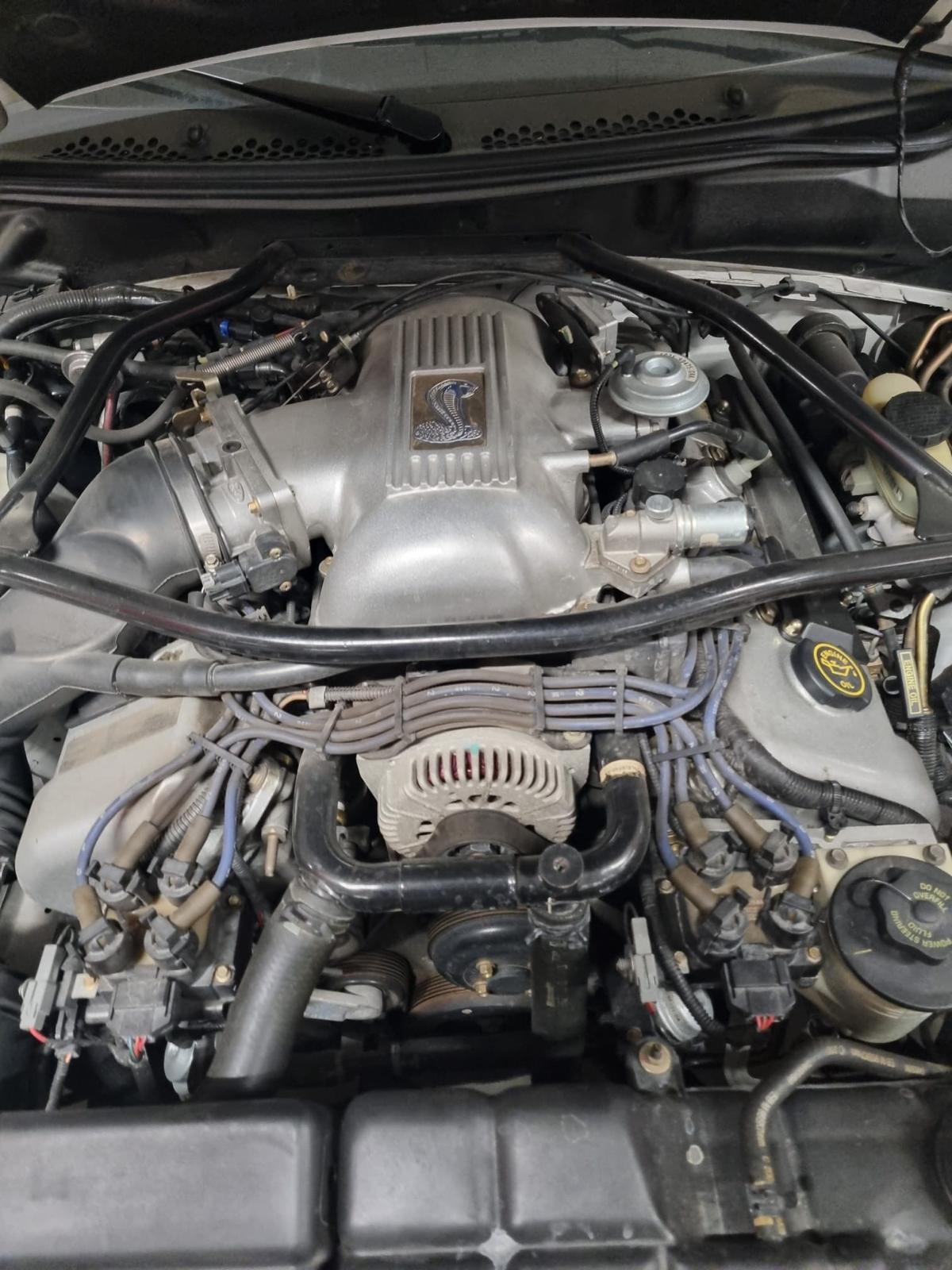FORD MUSTANG Cobra SVT 4.6l V8 PVB-image-4