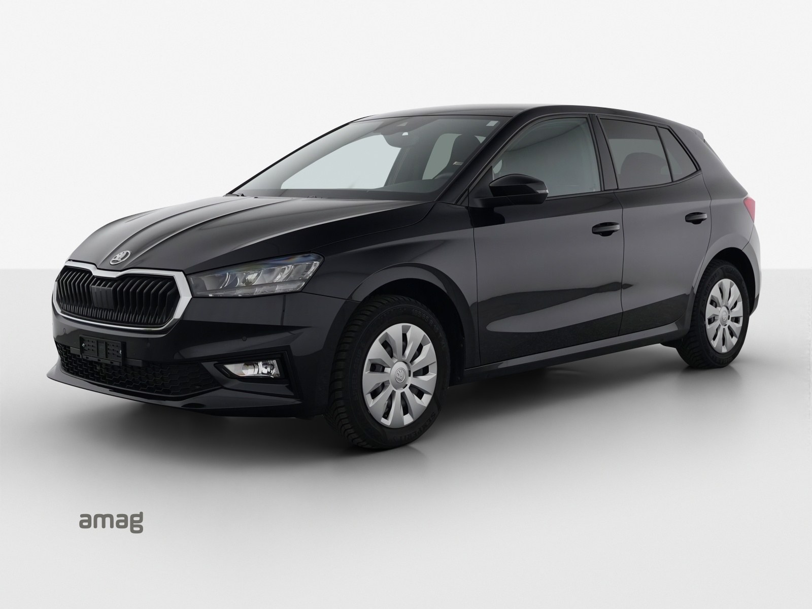 SKODA Fabia 1.0 TSI Selection DSG-image-0