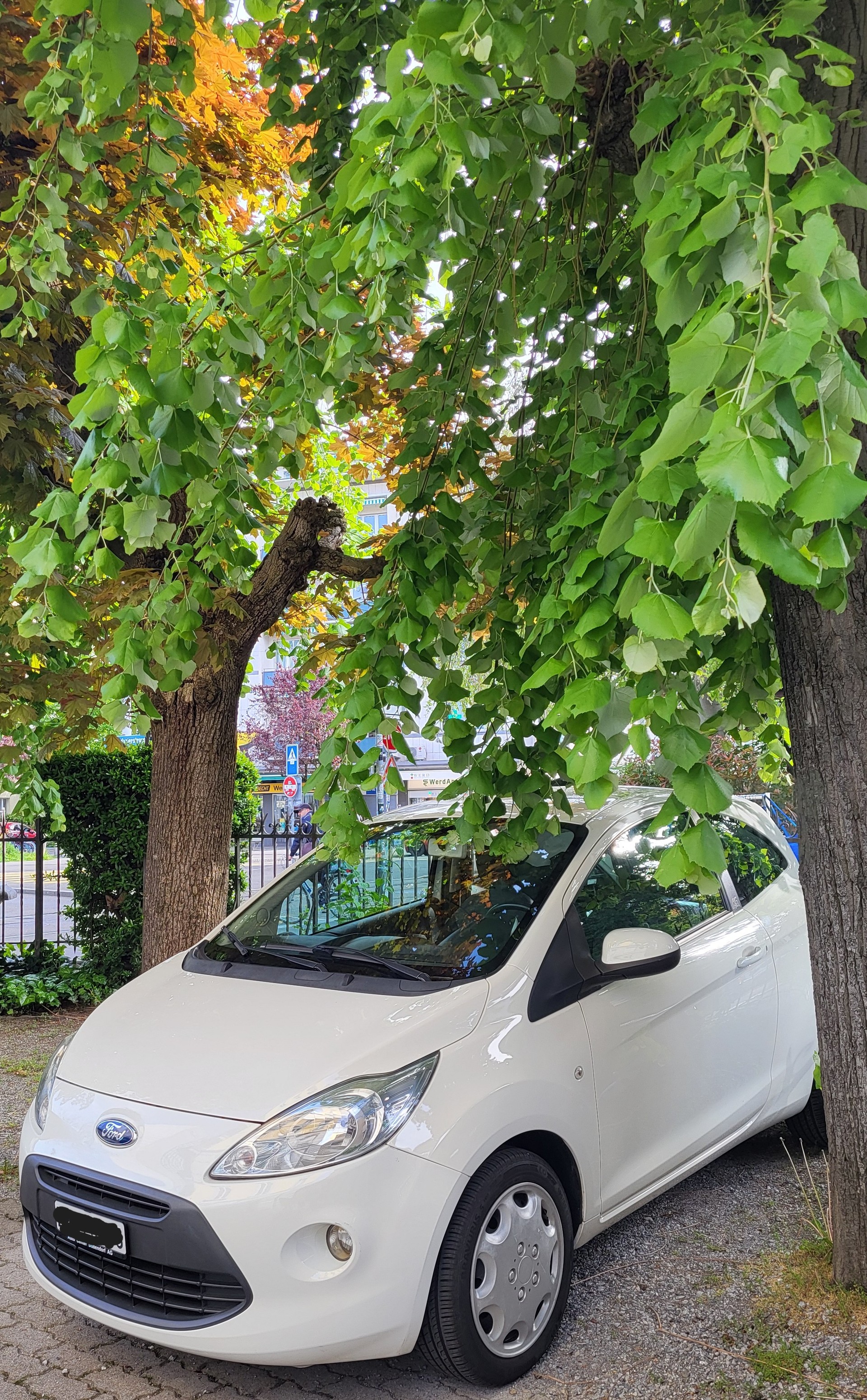 FORD 1.2 Trend-image-4