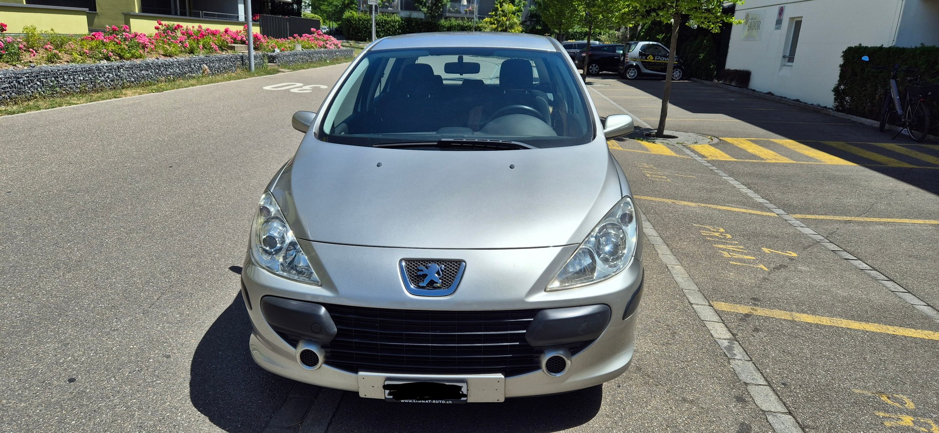 PEUGEOT 307-image-0