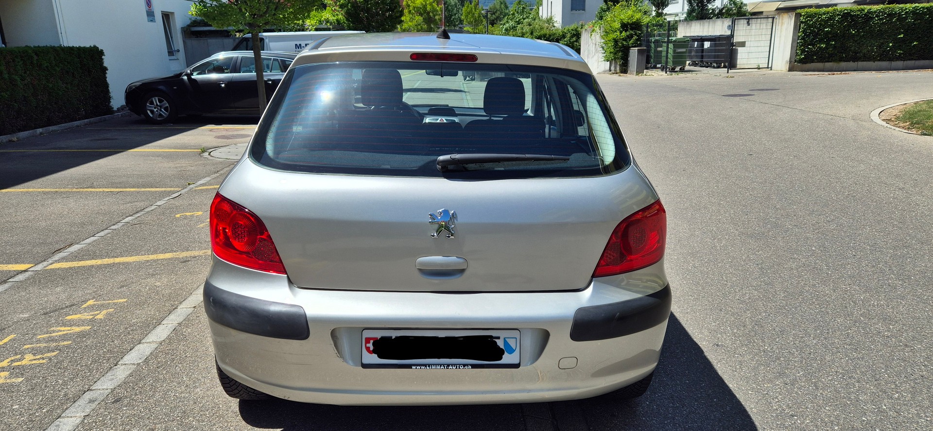 PEUGEOT 307-image-1