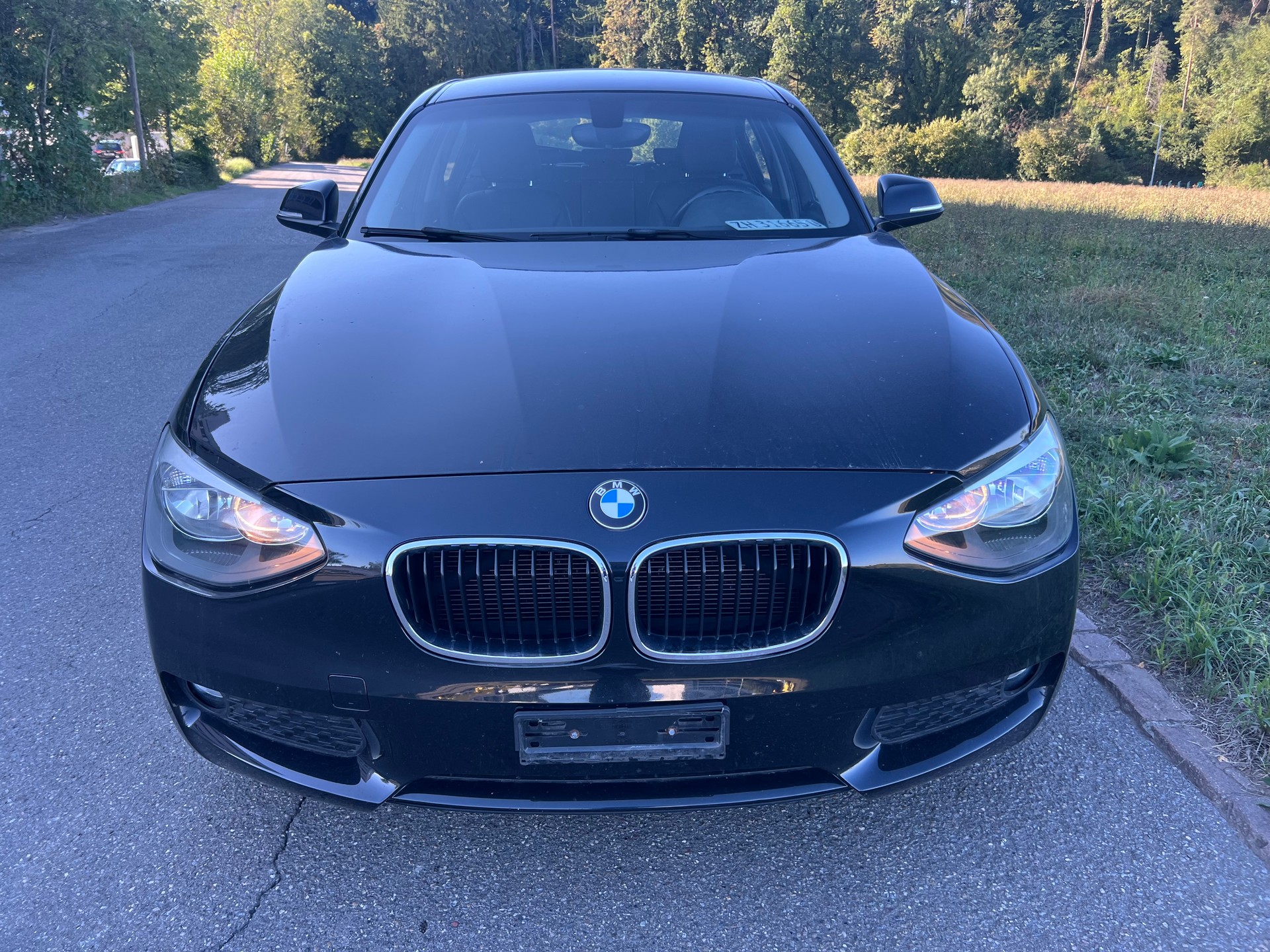 BMW 116i-image-0