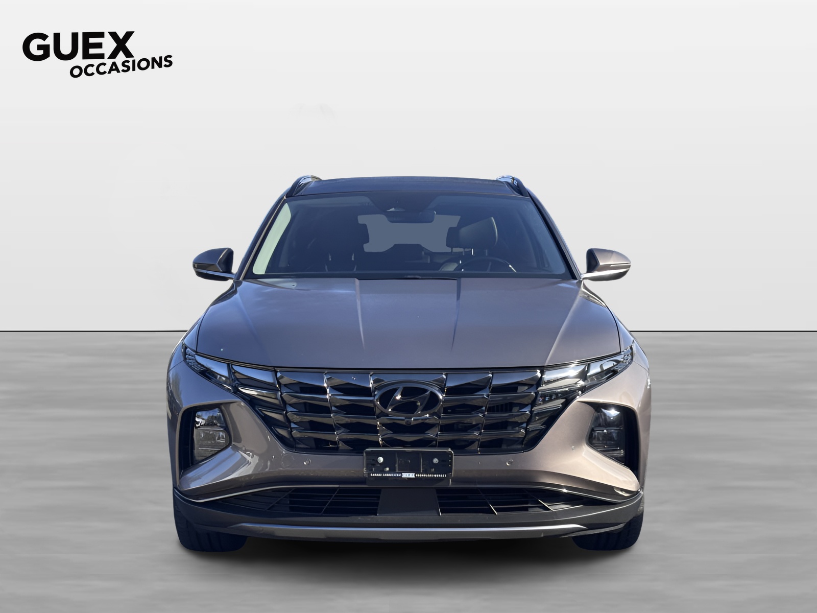 HYUNDAI Tucson 1.6 T-GDi HEV Vertex 4WD-image-1