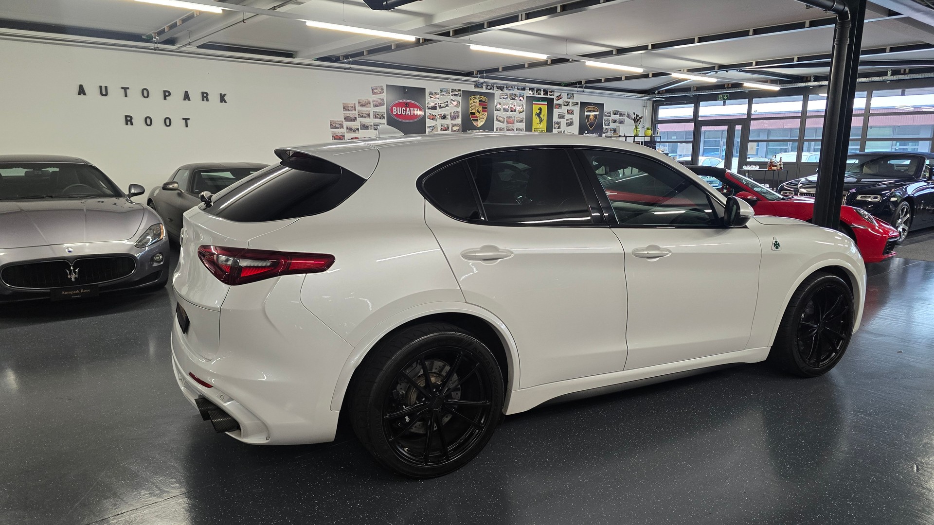 ALFA ROMEO Stelvio 2.9 V6 Quadrifoglio Q4 Automatic-image-5