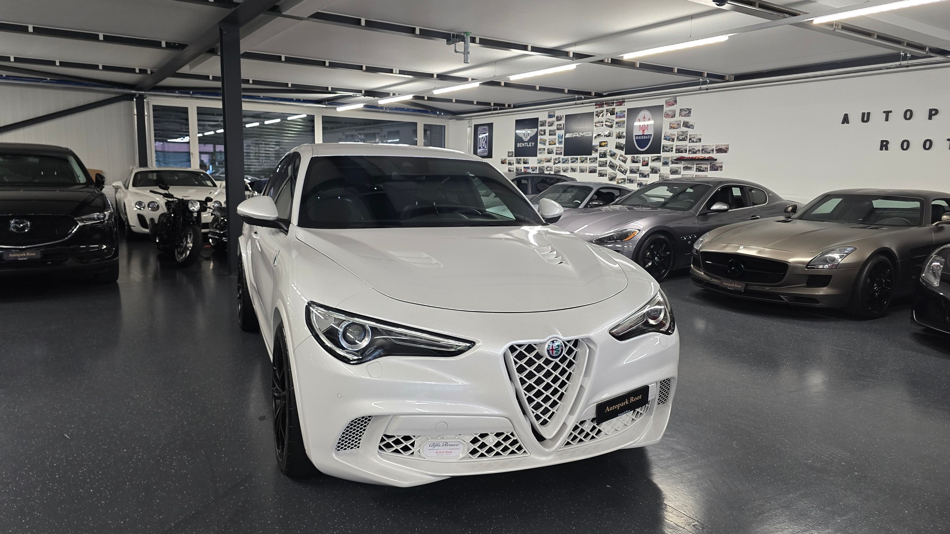 ALFA ROMEO Stelvio 2.9 V6 Quadrifoglio Q4 Automatic-image-1