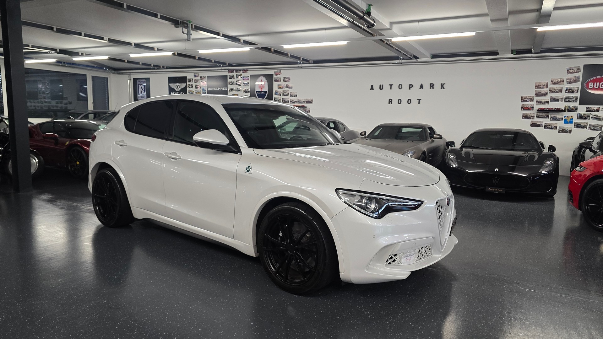 ALFA ROMEO Stelvio 2.9 V6 Quadrifoglio Q4 Automatic-image-15