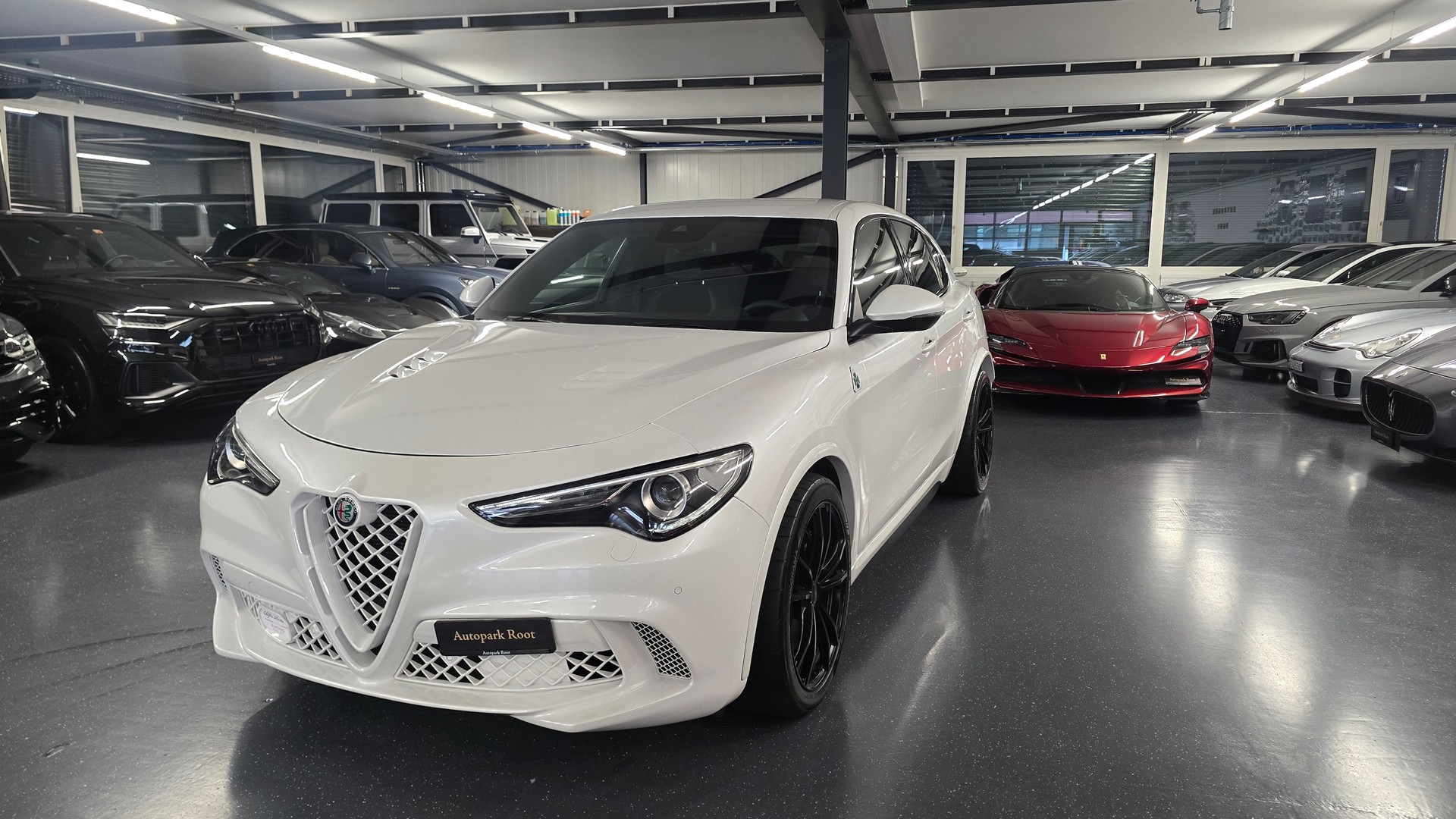 ALFA ROMEO Stelvio 2.9 V6 Quadrifoglio Q4 Automatic-image-12