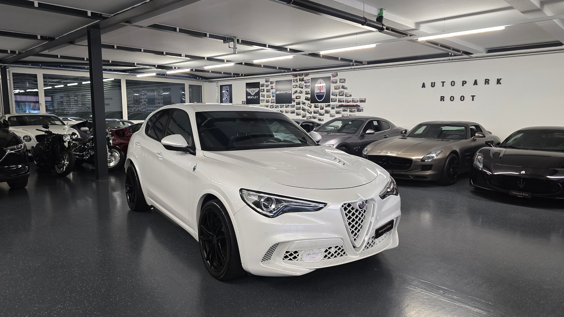 ALFA ROMEO Stelvio 2.9 V6 Quadrifoglio Q4 Automatic-image-0