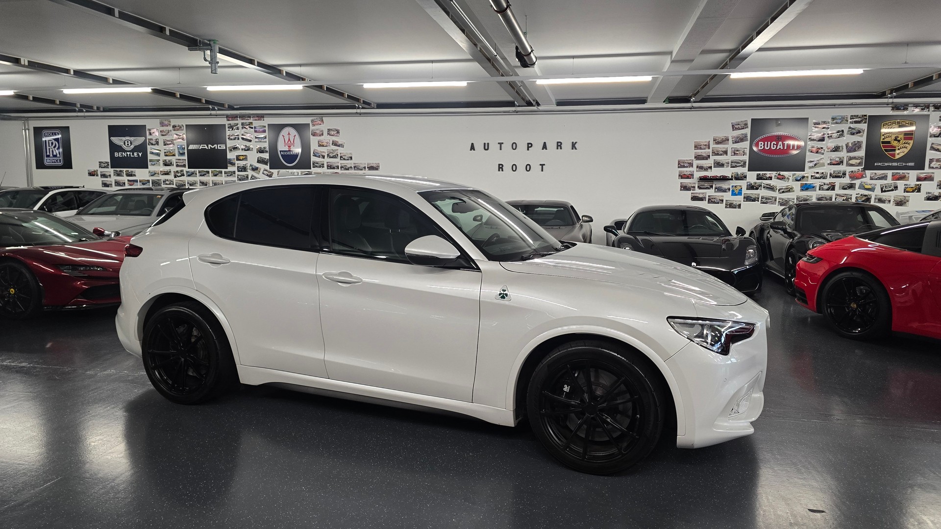 ALFA ROMEO Stelvio 2.9 V6 Quadrifoglio Q4 Automatic-image-3